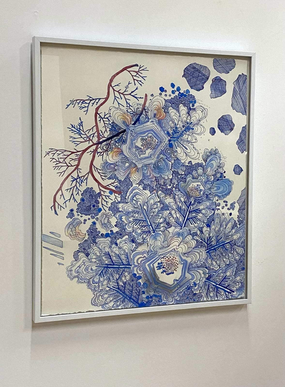 Sarah Morejohn, Snow Flora, Falling, 2020