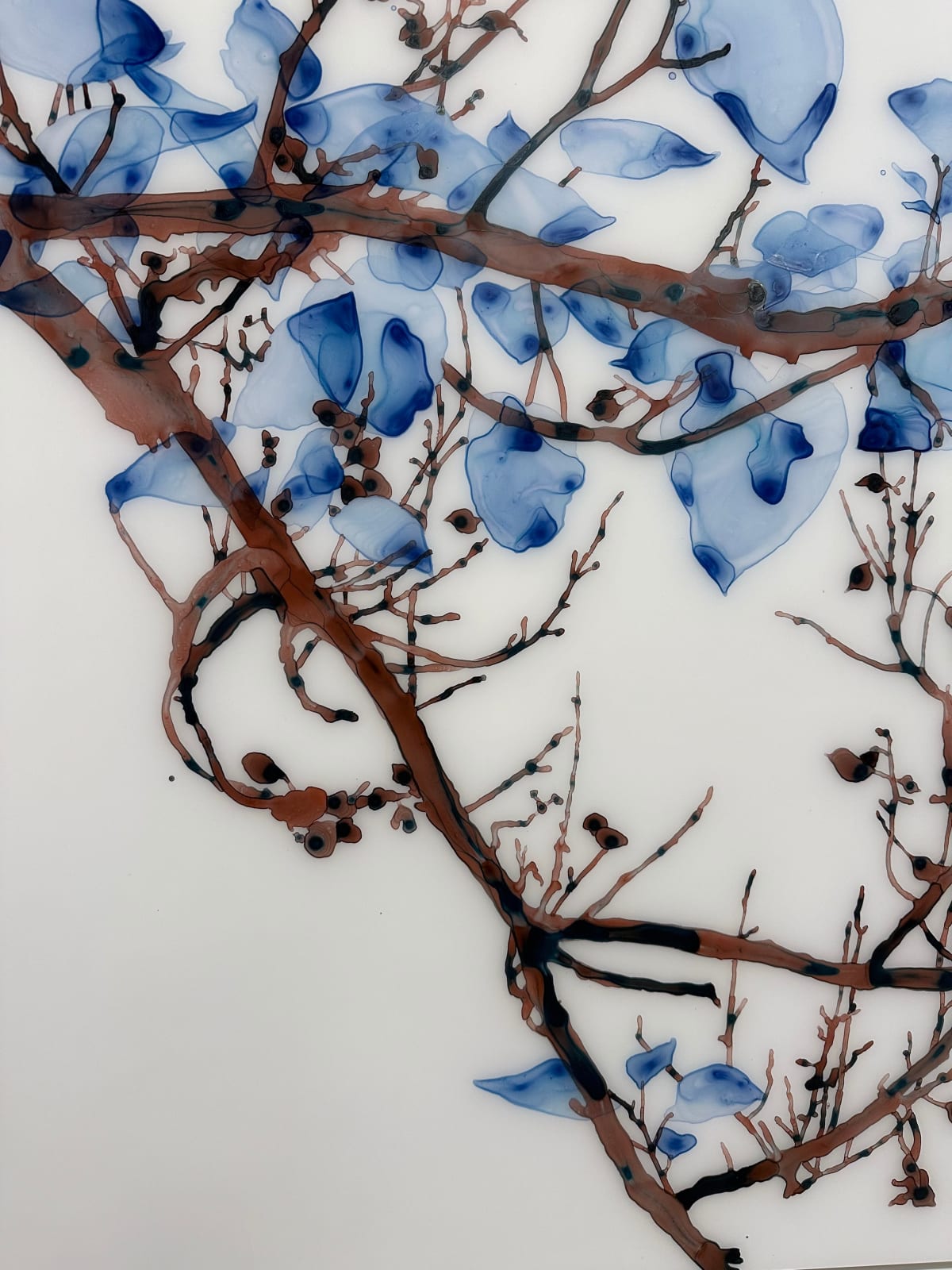 Jackie Battenfield, Unclouded cs1, 2022