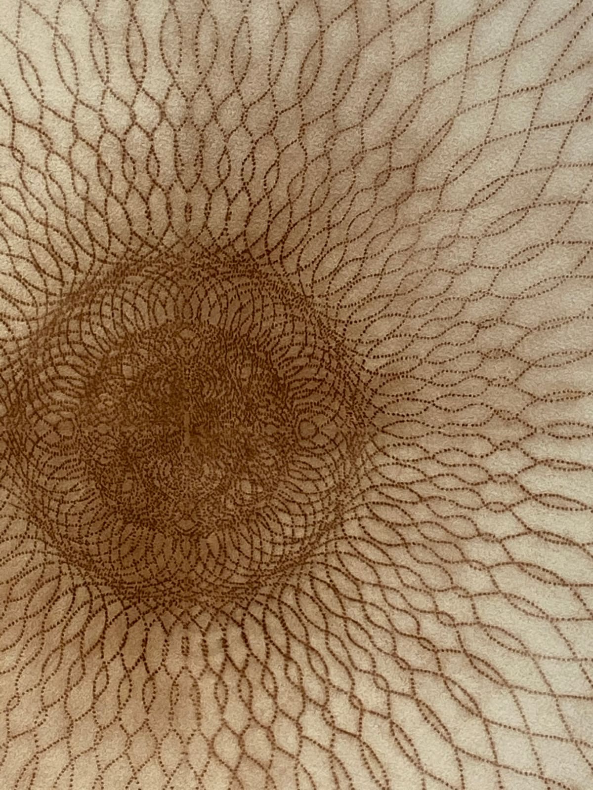 Mary Judge, Exotic Hex Series, 112/07, 2007