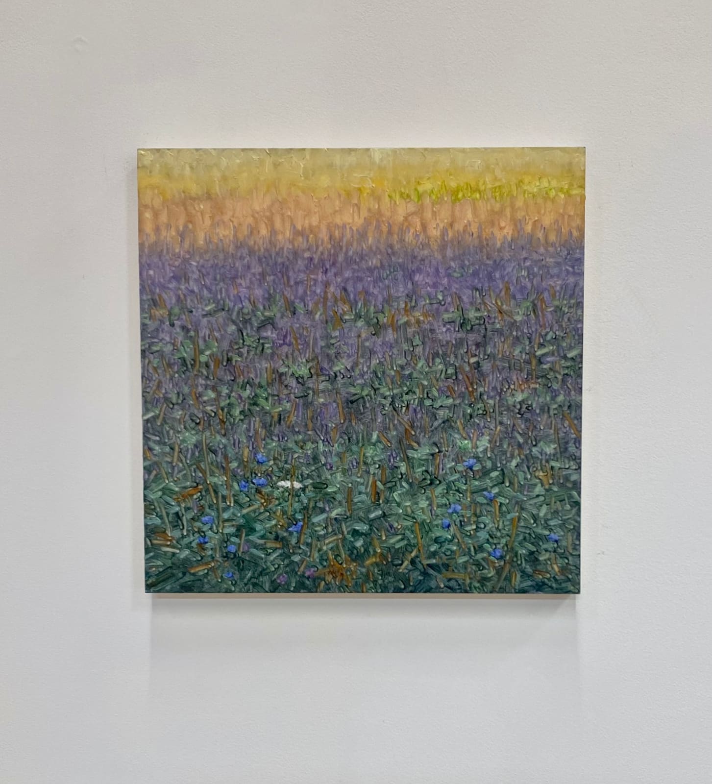Thomas Sarrantonio, Field Painting July 29, 2022