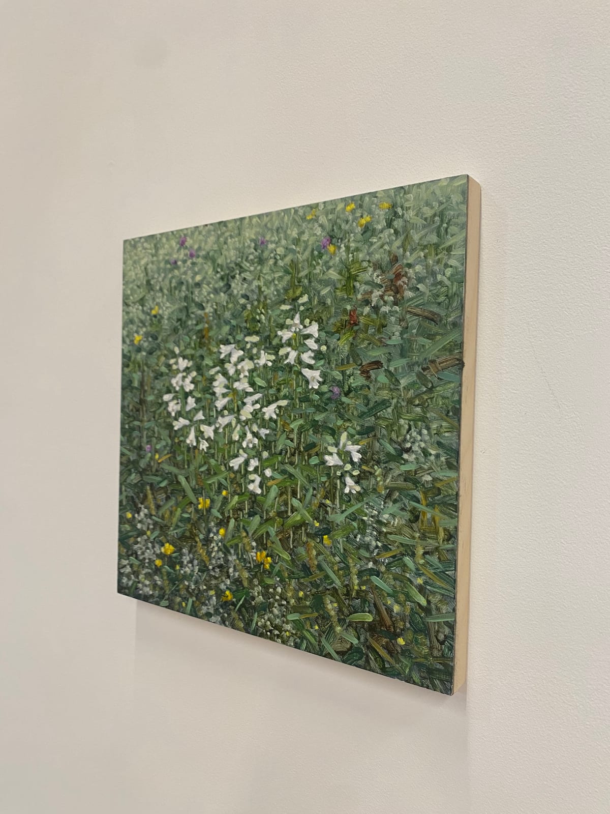 Thomas Sarrantonio, Field Painting June 11, 2021