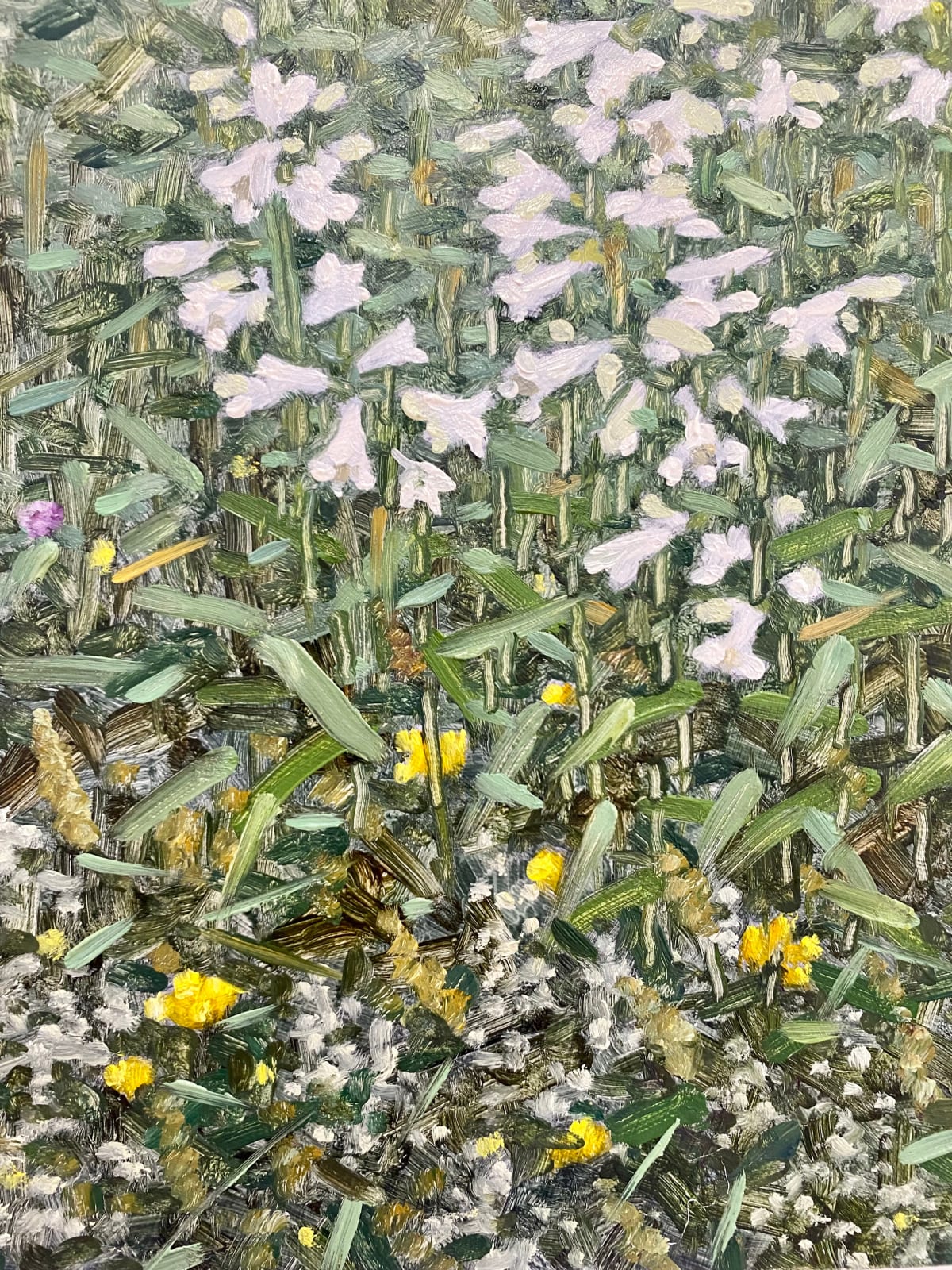 Thomas Sarrantonio, Field Painting June 11, 2021