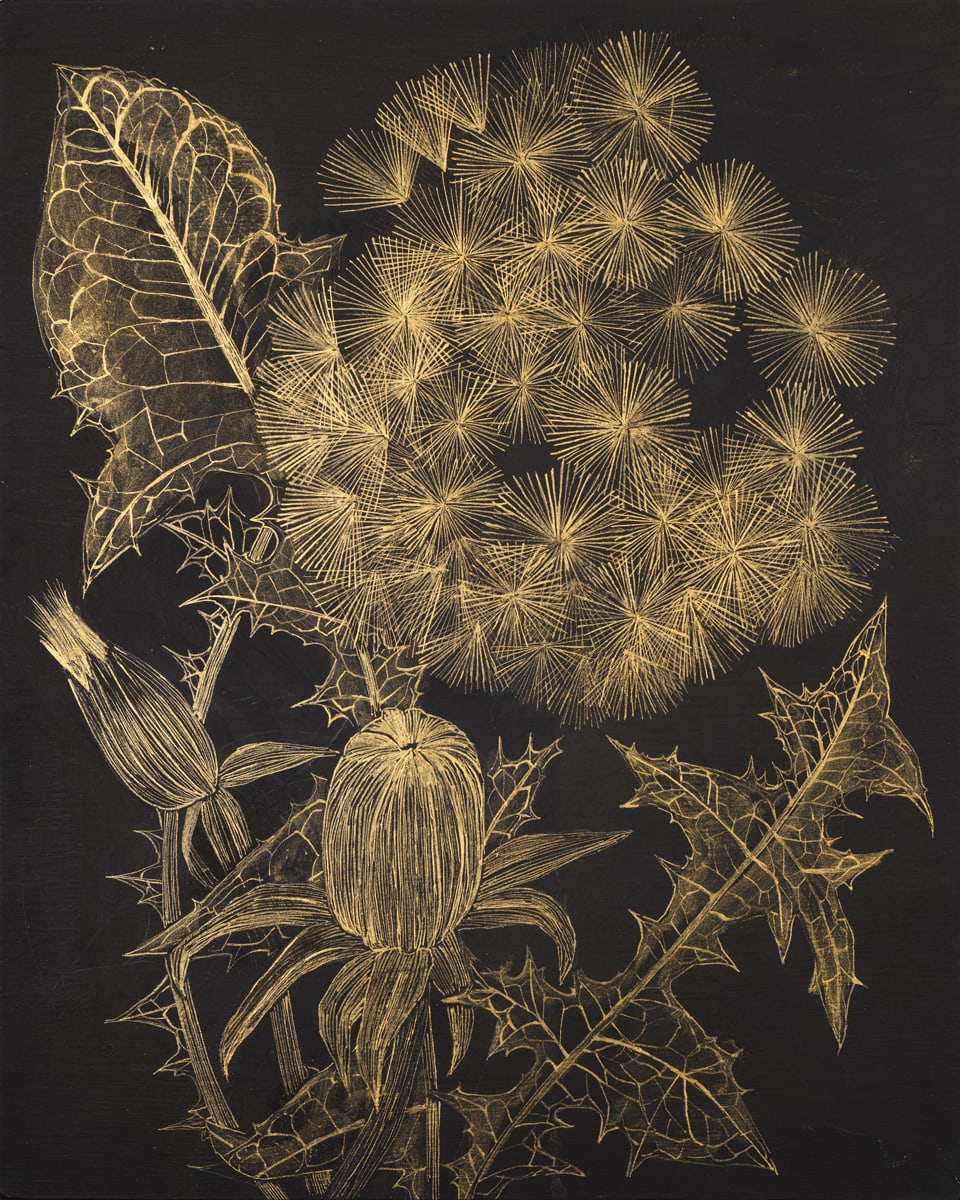 Margot Glass, Dandelion 1, 2021