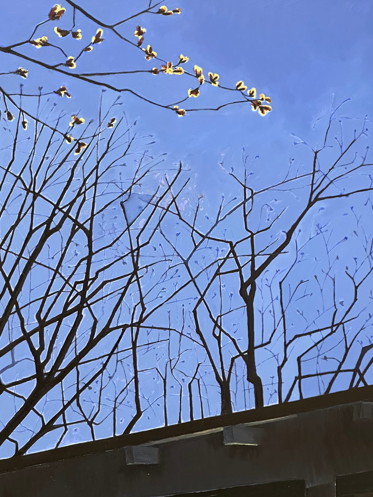 Amanda Acker, Spring Chill, 2023
