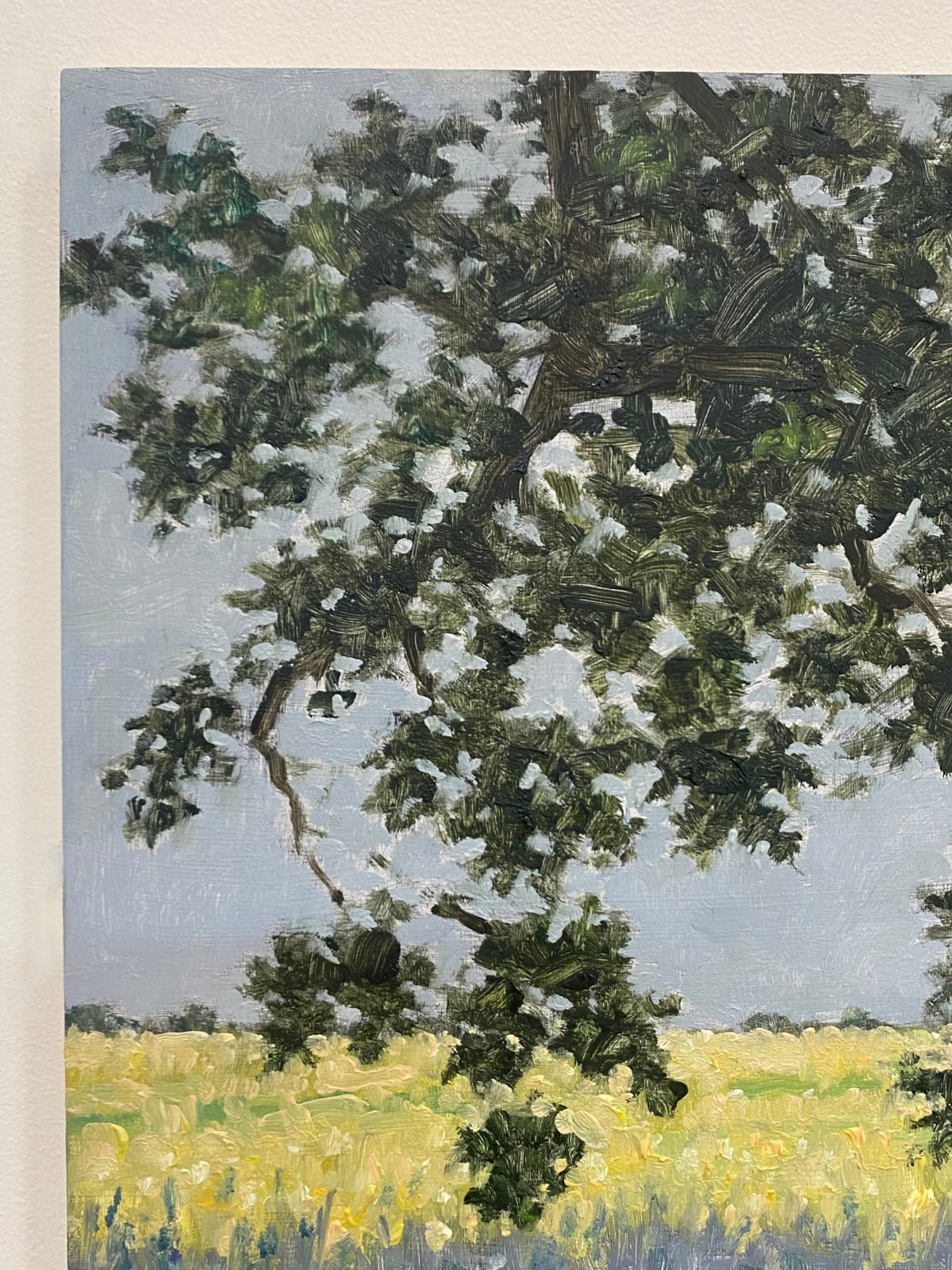 Thomas Sarrantonio, Field Painting June 15, 2022