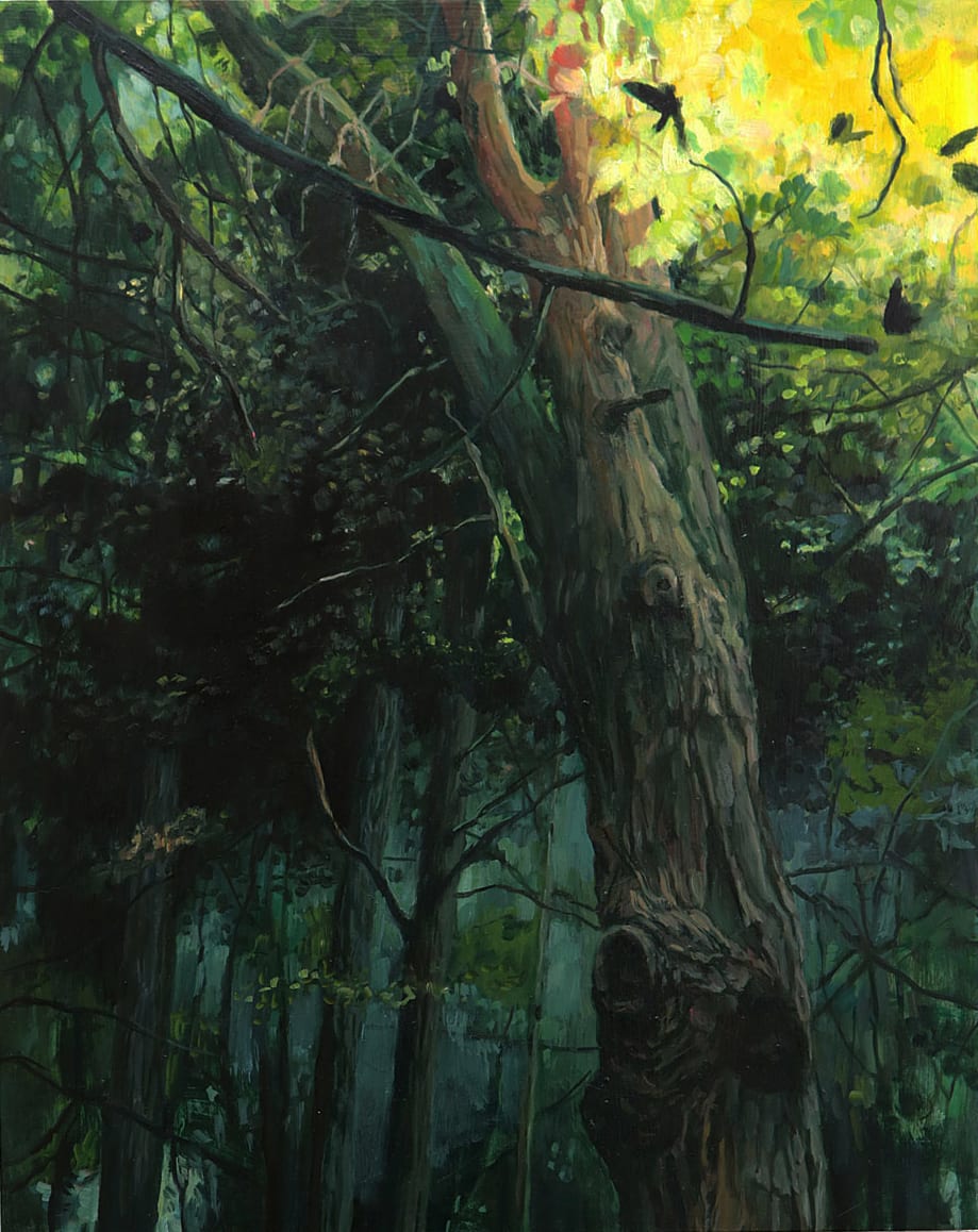 Amy Talluto, Corona of Afternoon, 2019