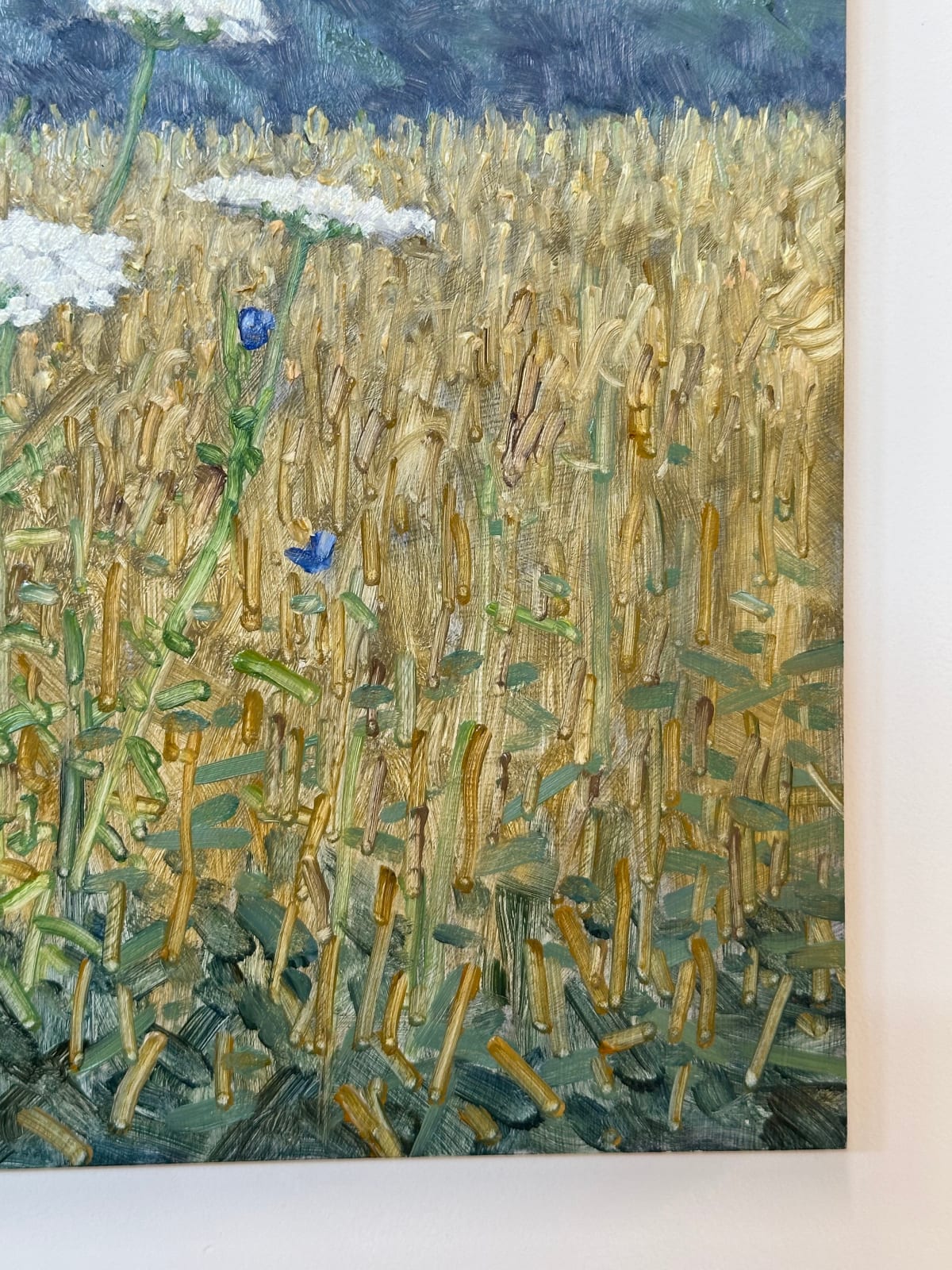 Thomas Sarrantonio, Field Painting July 15, 2024