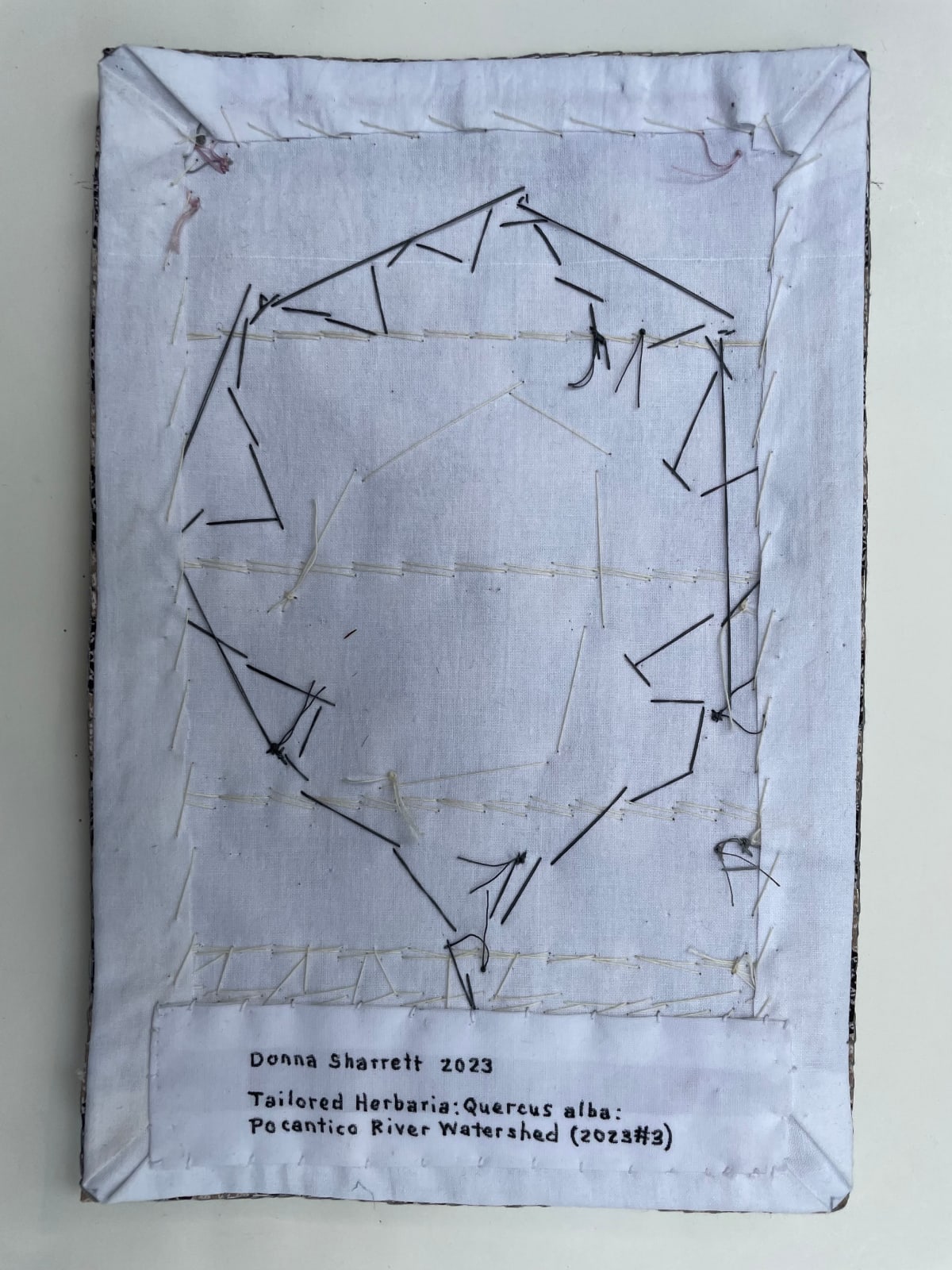 Donna Sharrett, Tailored Herbaria: Quercus alba: Pocantico River Watershed (2023 #3), 2023