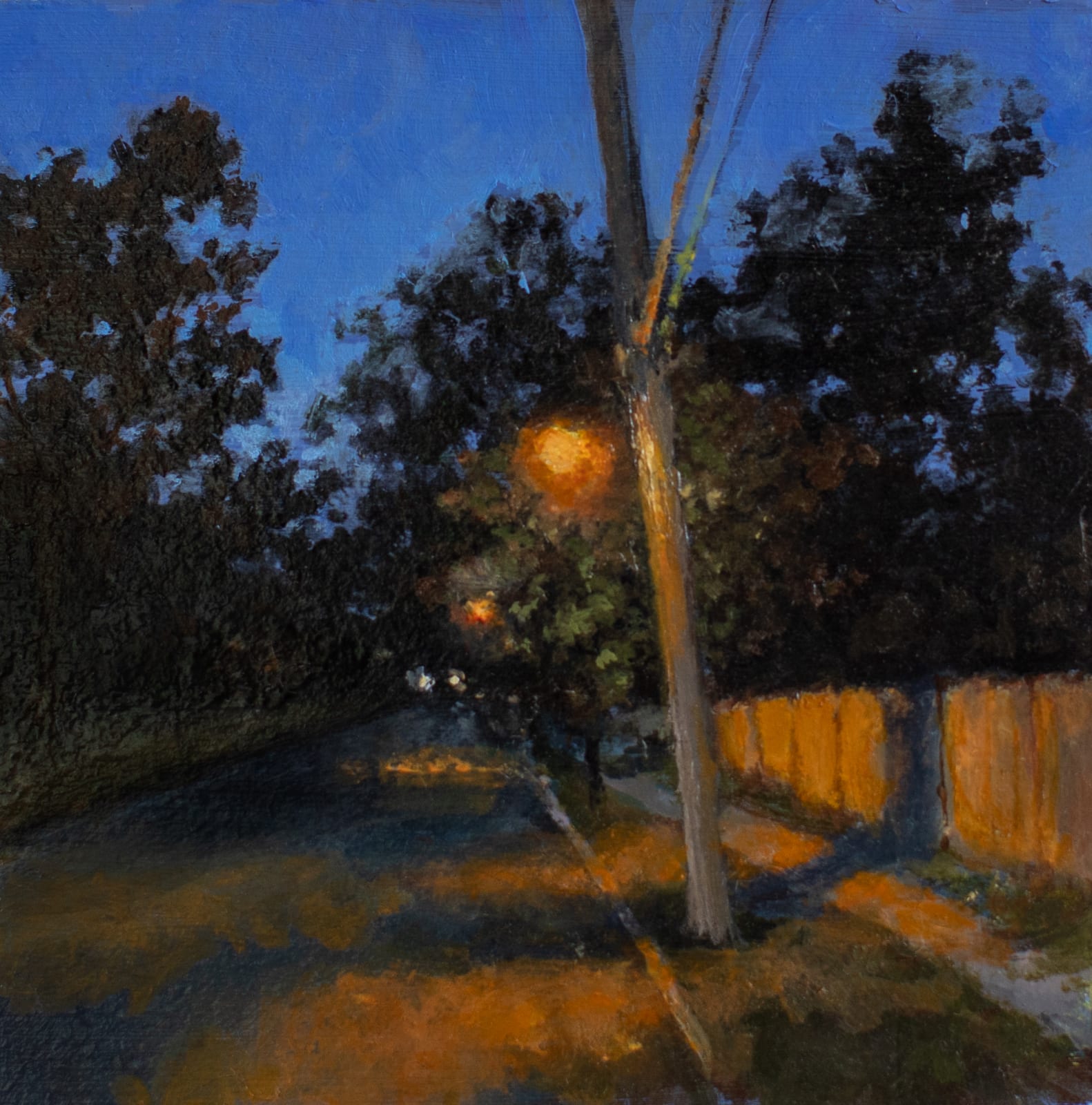 Sally Maca, Circle Ave., 2018