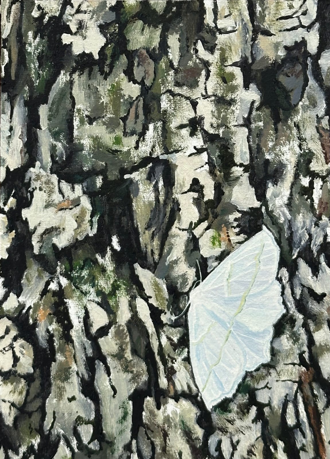 Amanda Acker, Pale Beauty, 2023