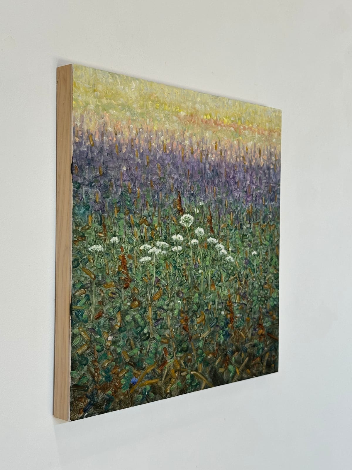 Thomas Sarrantonio, Field Painting August 2, 2022