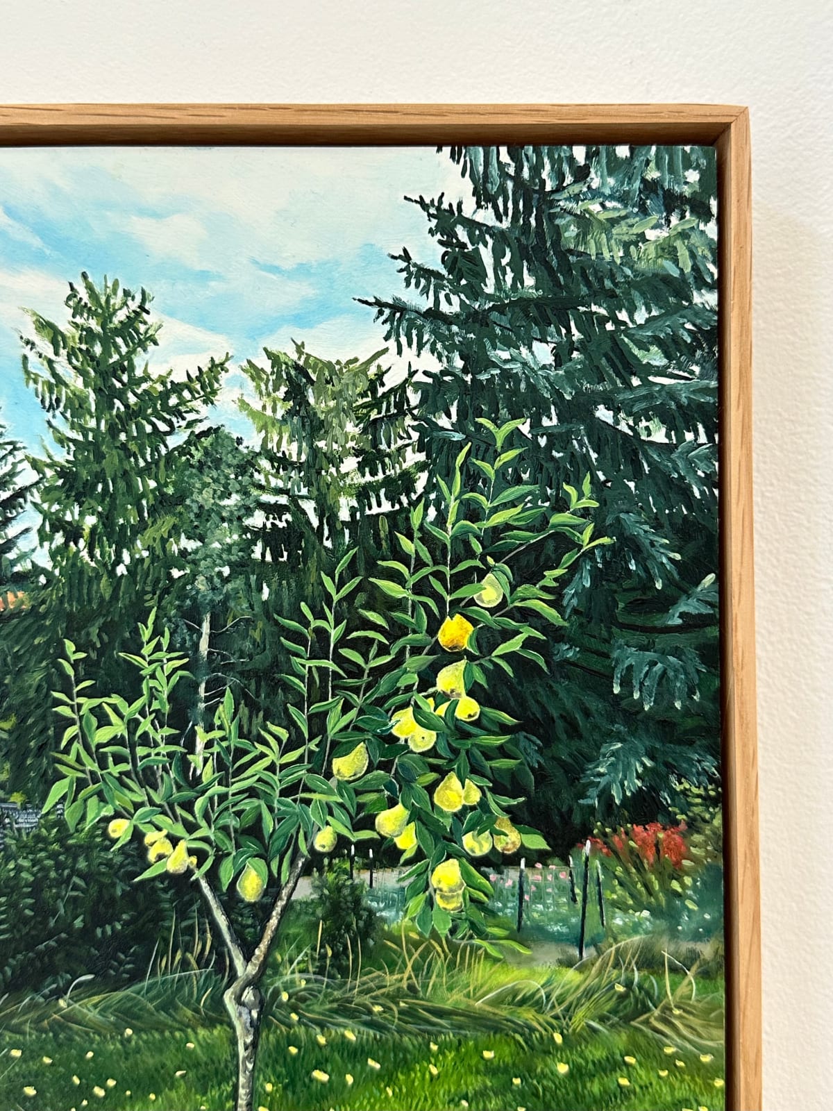 Amanda Acker, Backyard Pear, 2023
