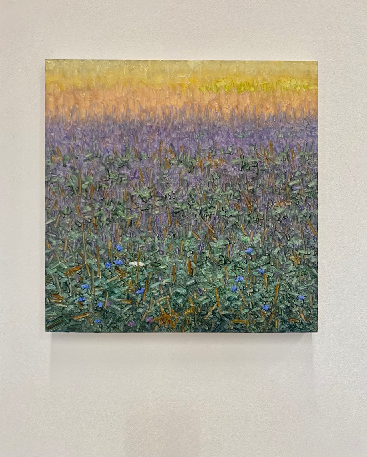 Thomas Sarrantonio, Field Painting July 29, 2022
