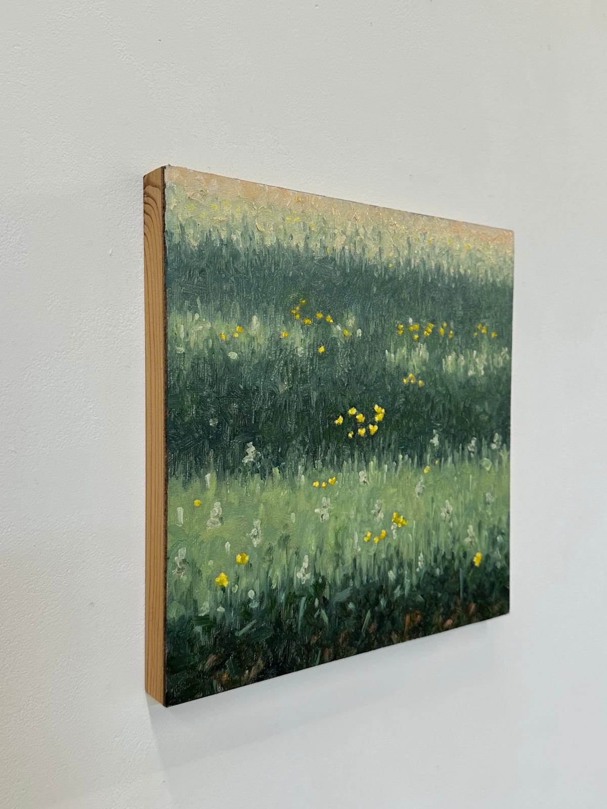 Thomas Sarrantonio, Field Painting May 30, 2023