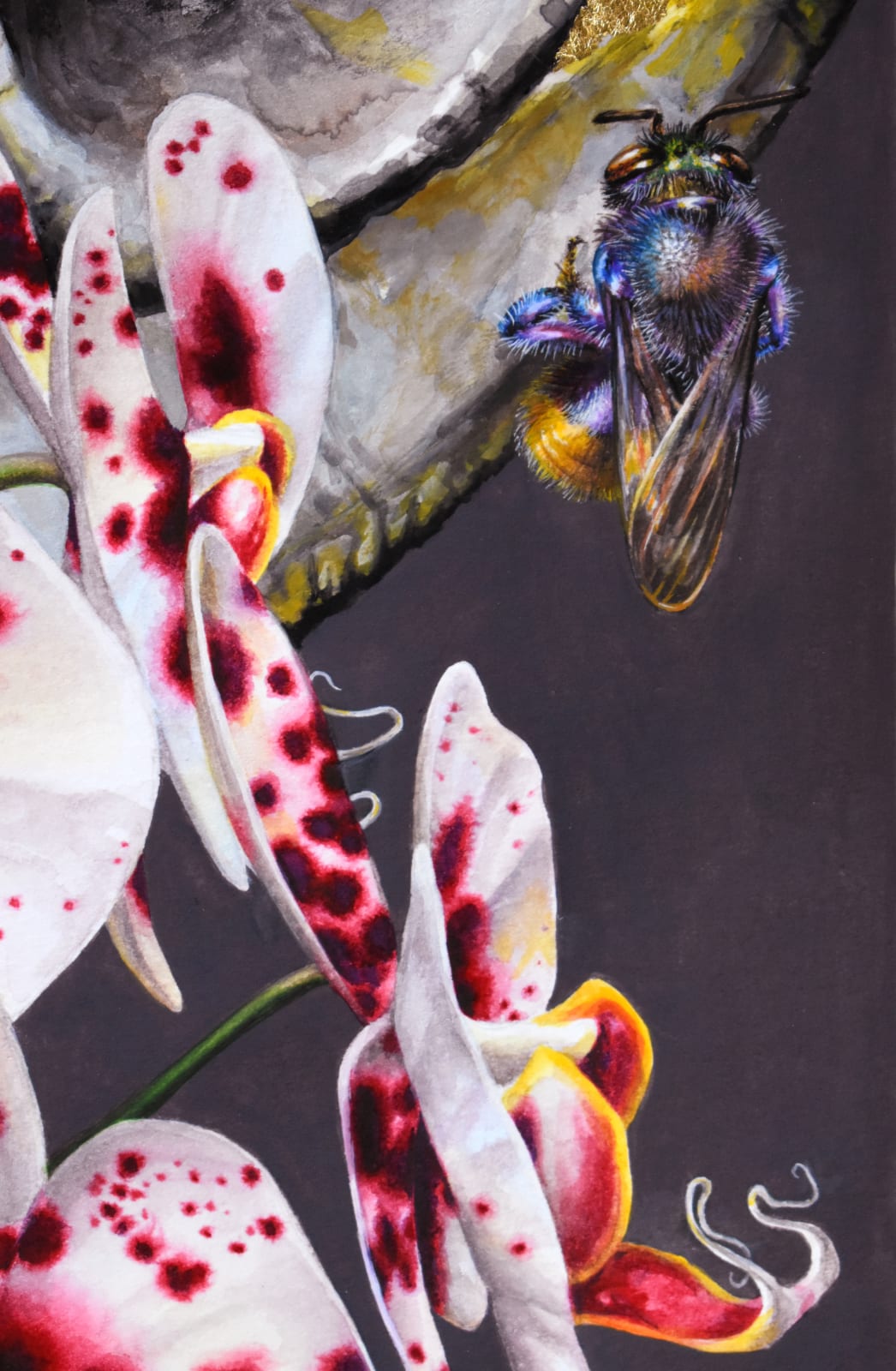 Francine Fox, Spotted Panama Catacomb, 2020