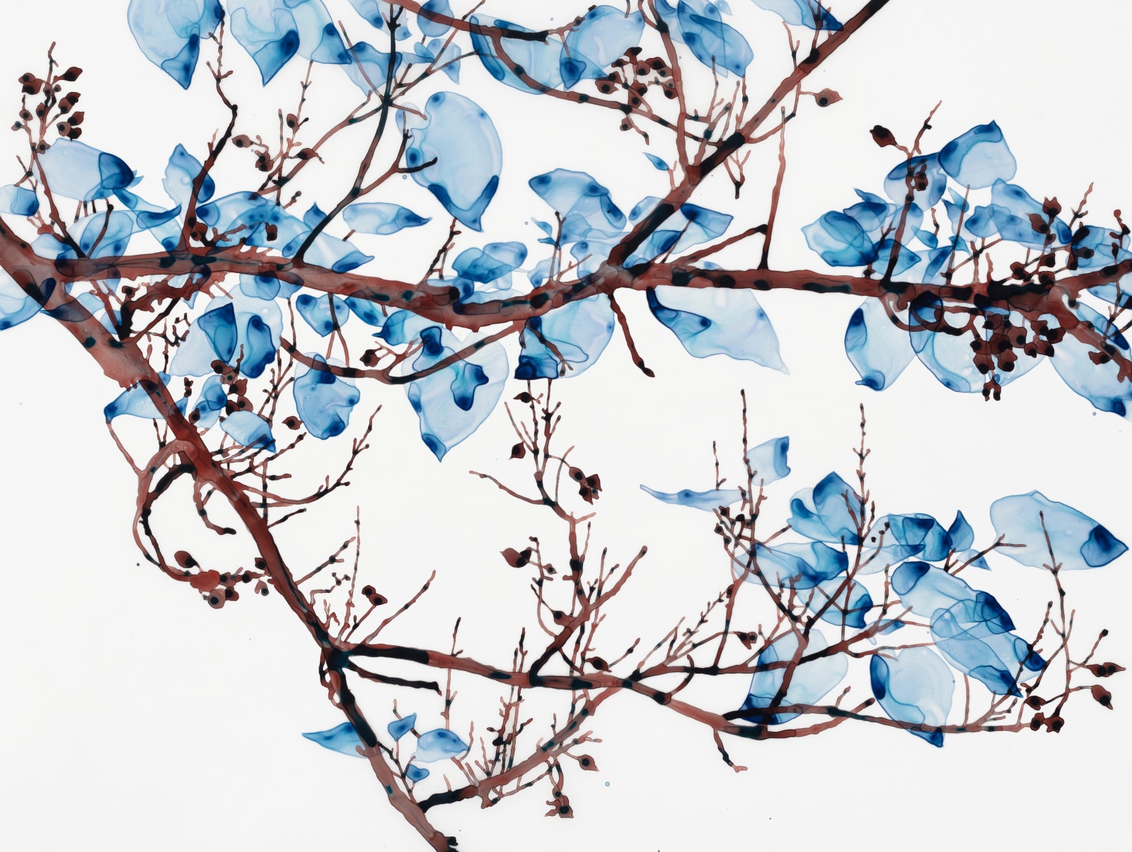 Jackie Battenfield, Unclouded cs1, 2022