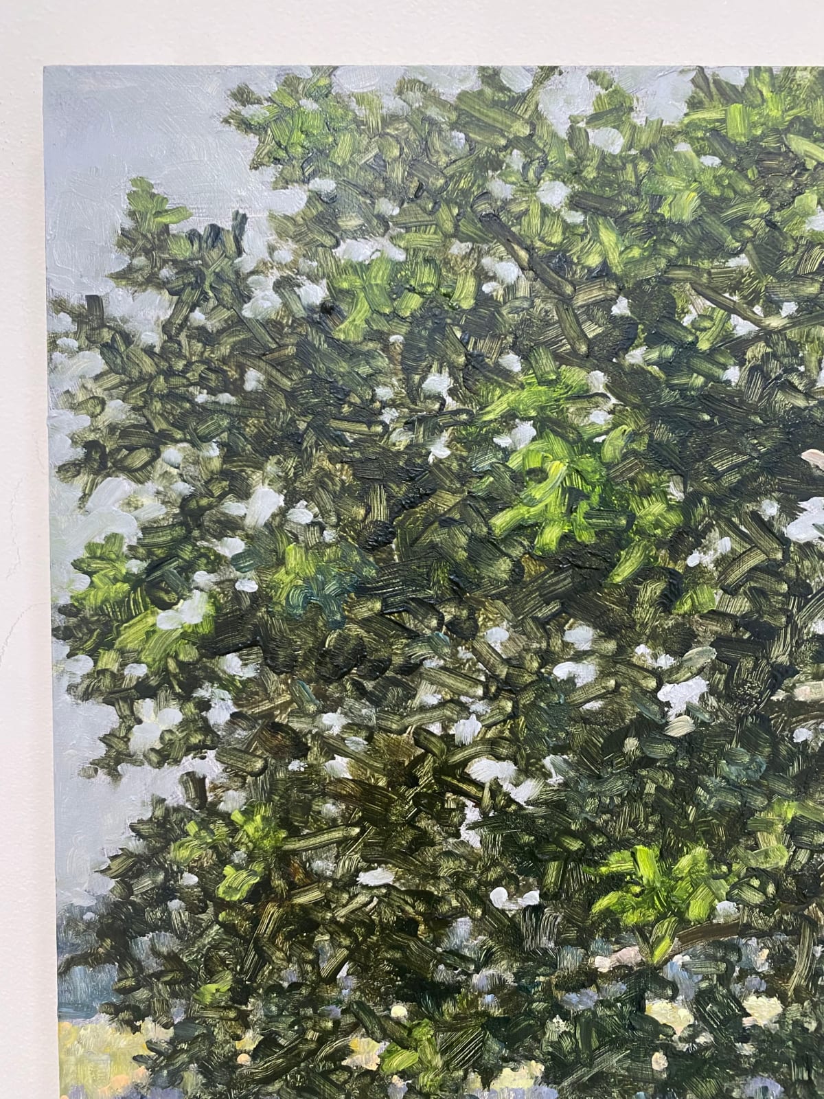 Thomas Sarrantonio, Field Painting July 15, 2022
