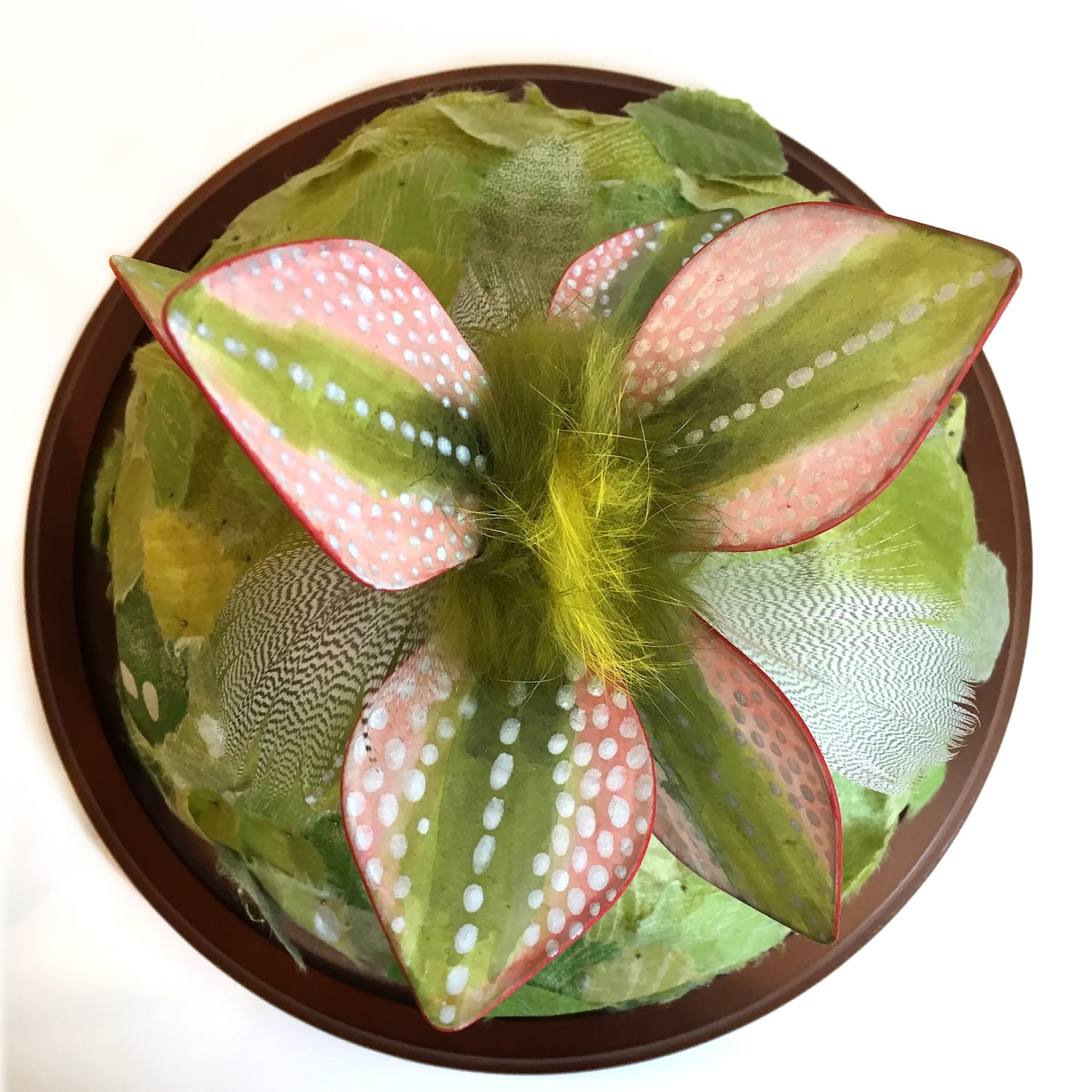 Jill Parisi, Rainbow Trout Lily, 2018