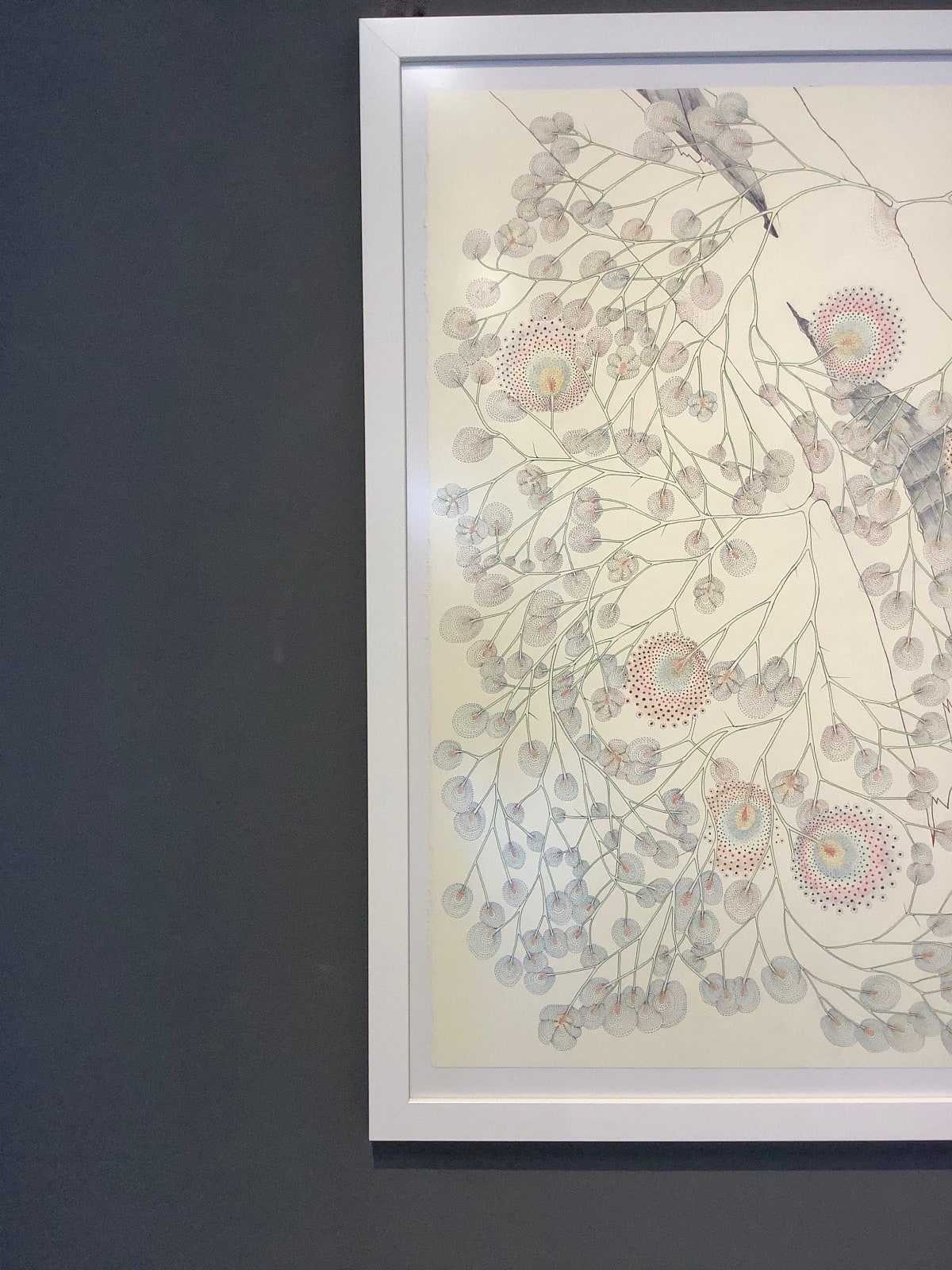 Sarah Morejohn, Cracked Dandelion Tree, 2016
