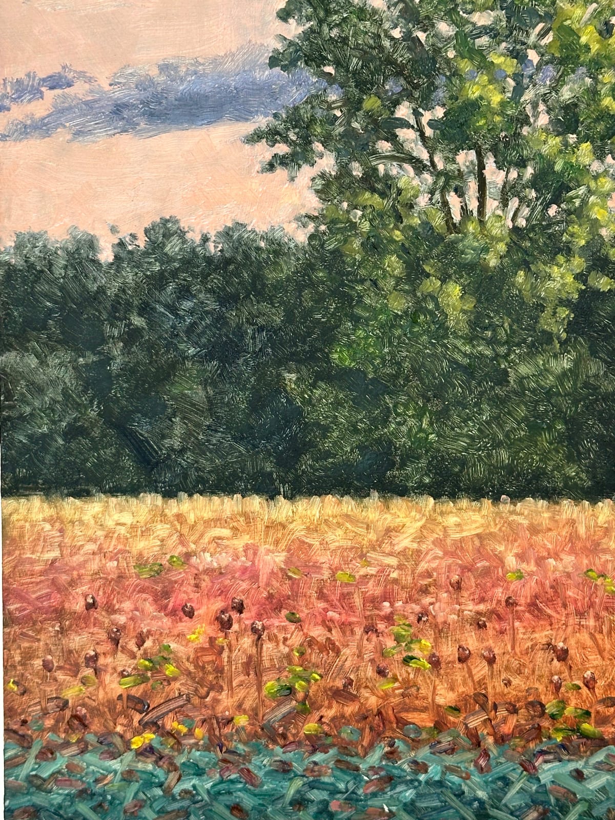 Thomas Sarrantonio, Field Painting September 19, 2023