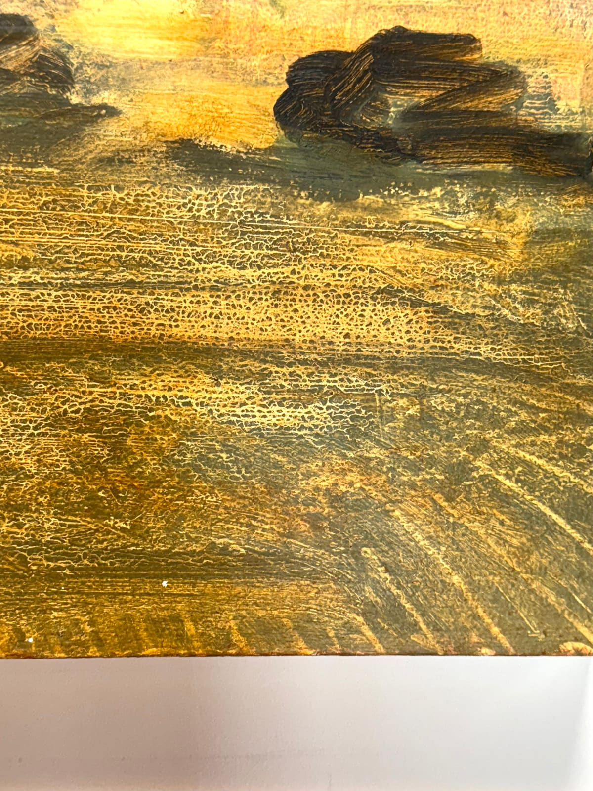 David Konigsberg, Field and Orchard, 2025