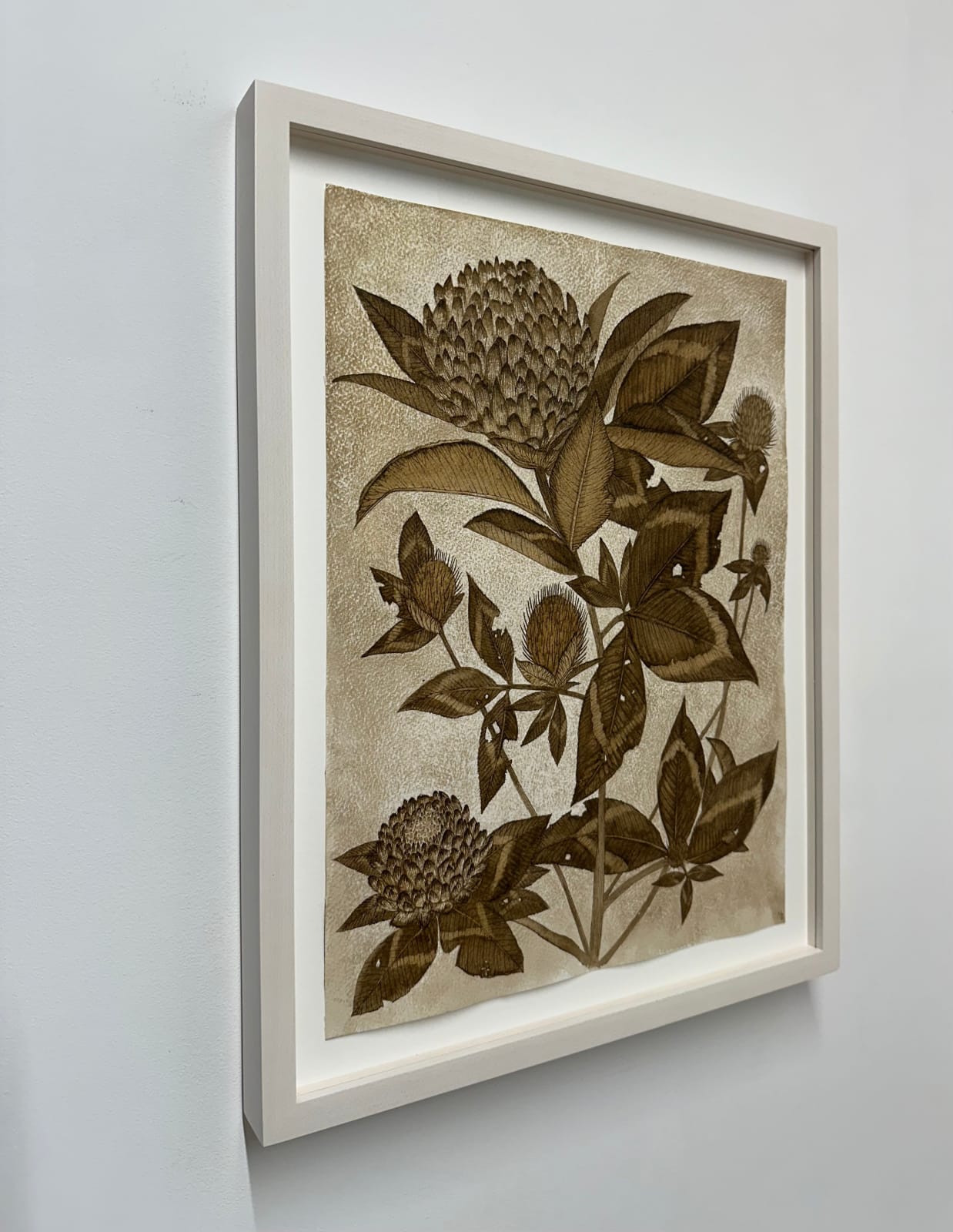 Margot Glass, Red Clover, 2024
