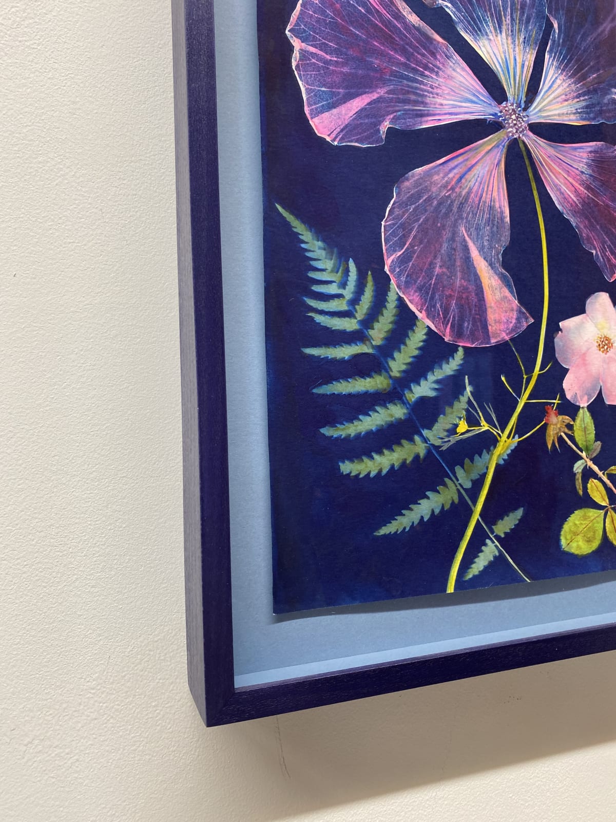 Julia Whitney Barnes, Cyanotype Painting (Hibiscus, Fern, Rose), 2020-2021