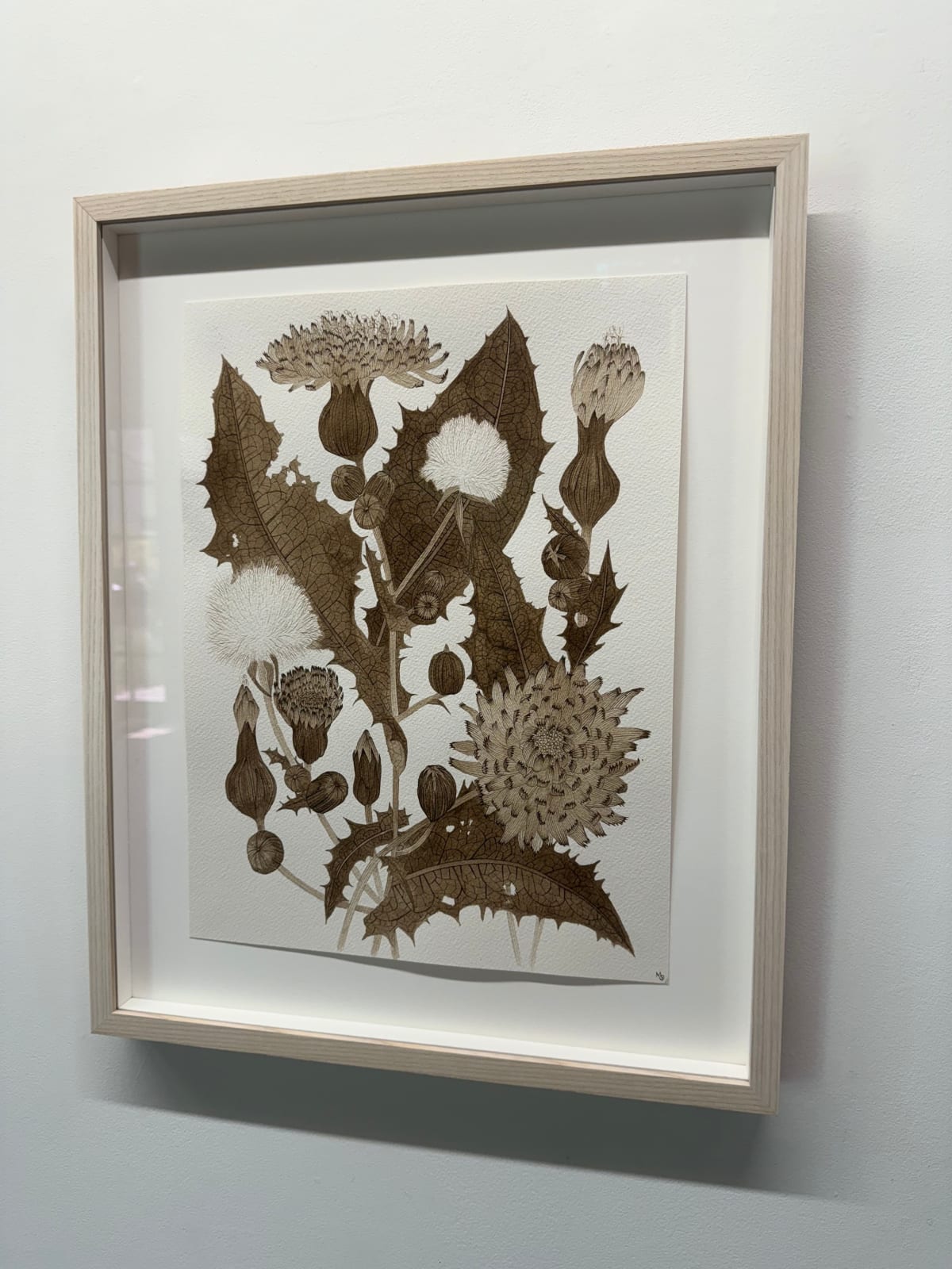 Margot Glass, Sow Thistle 03, 2025