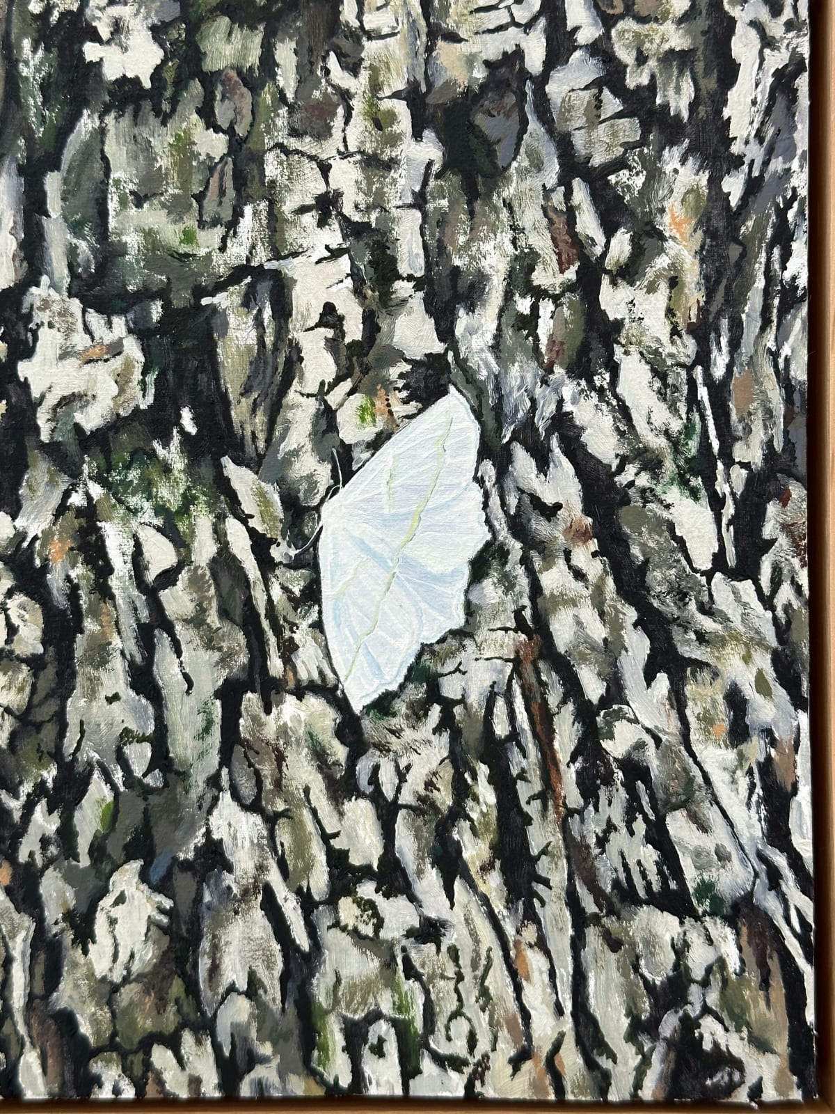 Amanda Acker, Pale Beauty, 2023