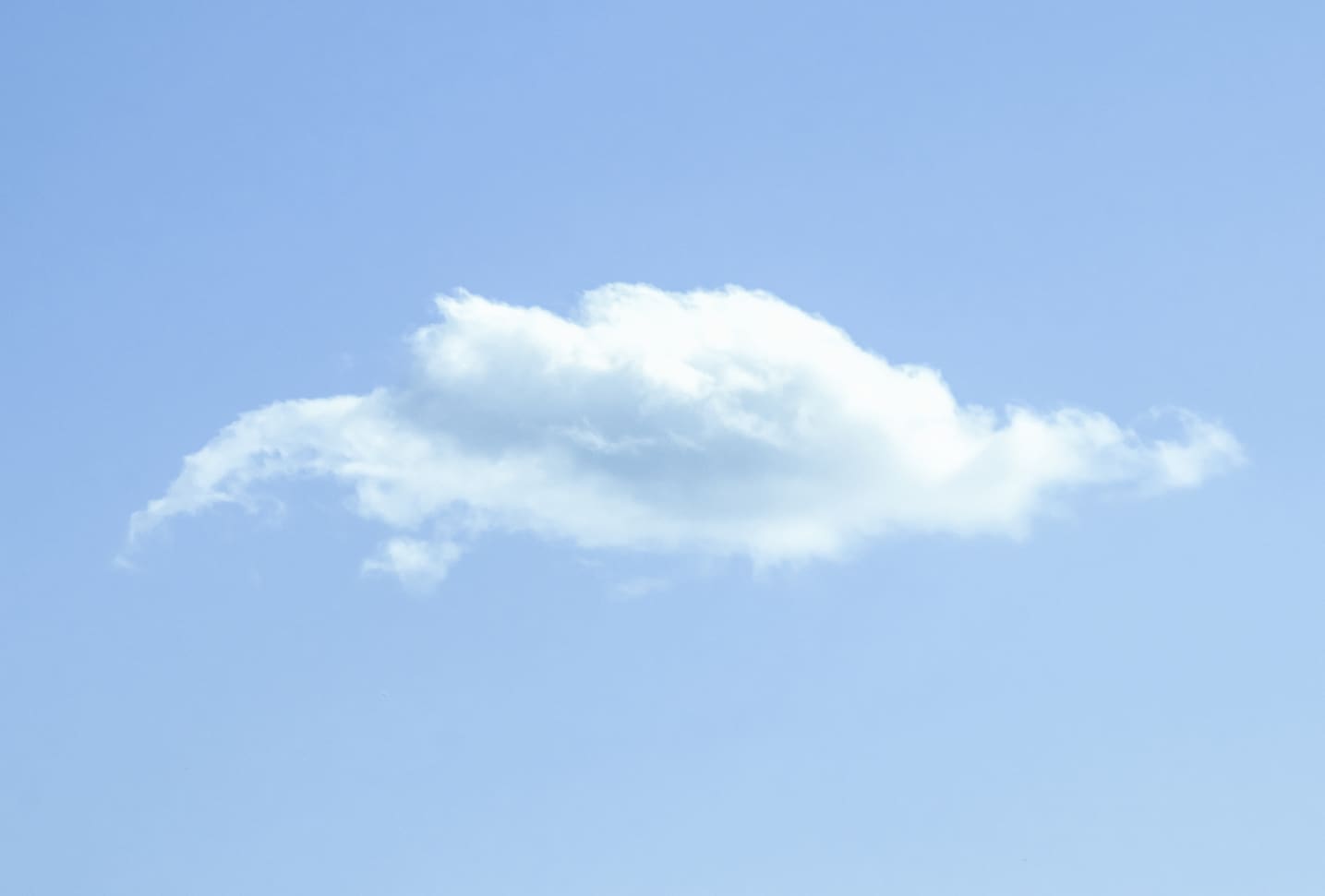 Mark Bartkiw, Last Resort, 2019