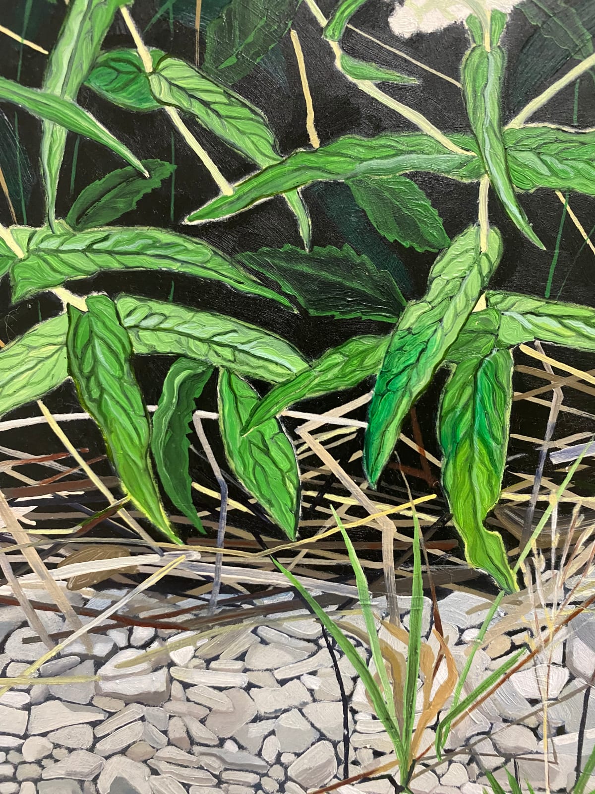 Amanda Acker, Slithering In, 2023