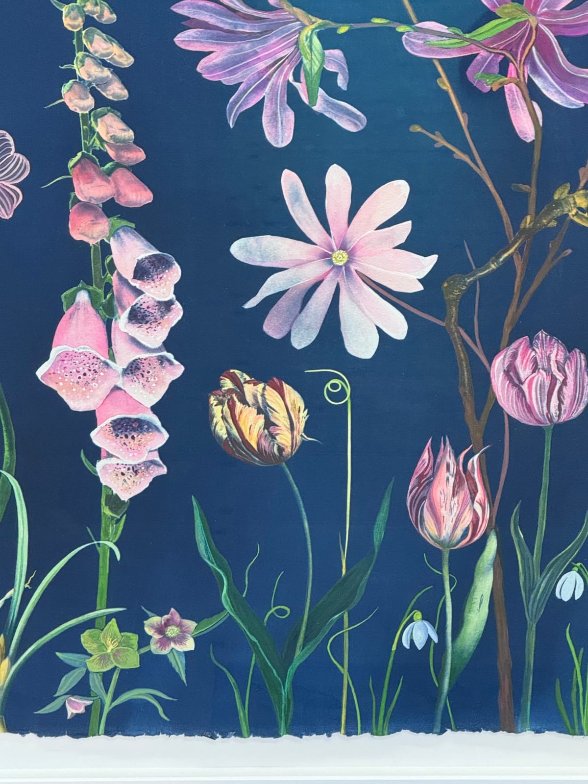 Julia Whitney Barnes, Picturesque Botany (Tulip, Magnolia, Dogwood, Foxglove, Crocus, Pollinators, etc.), 2025