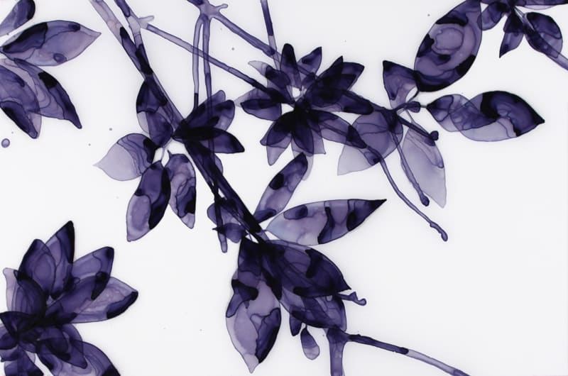 Jackie Battenfield, Into the Blue Study, 2011