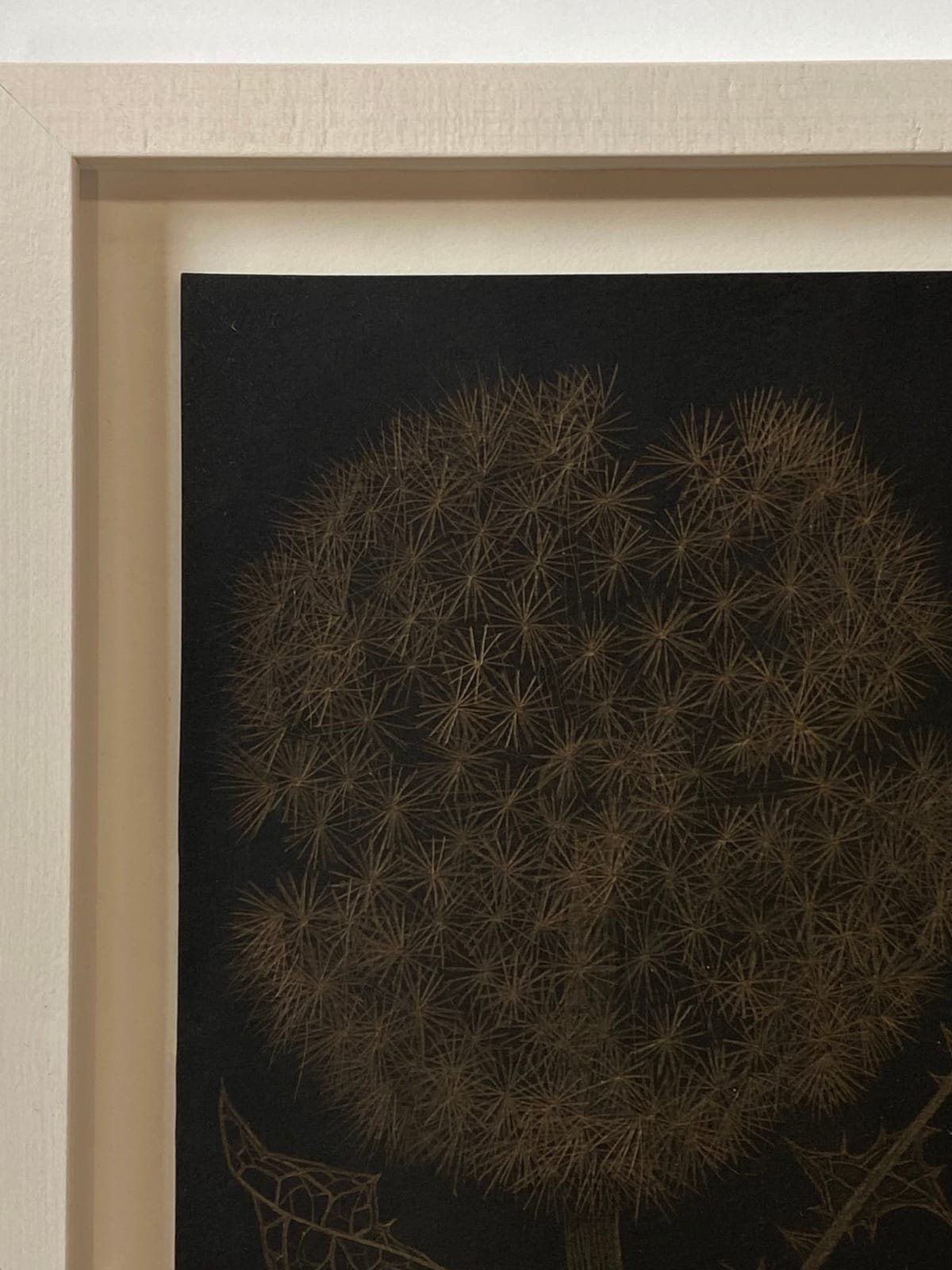 Margot Glass, Dandelion with Two Buds, 2022