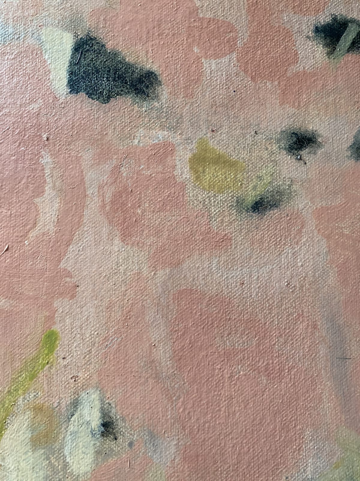 David Konigsberg, Vase of Pinks, 2021