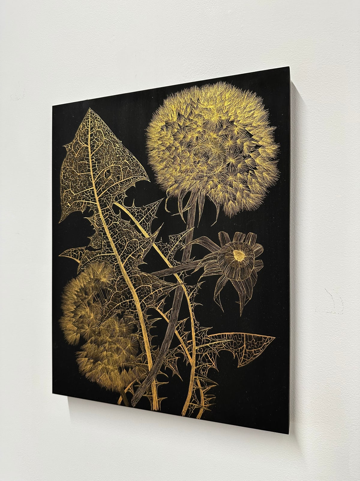 Margot Glass, Dandelions with Bud 2, 2024