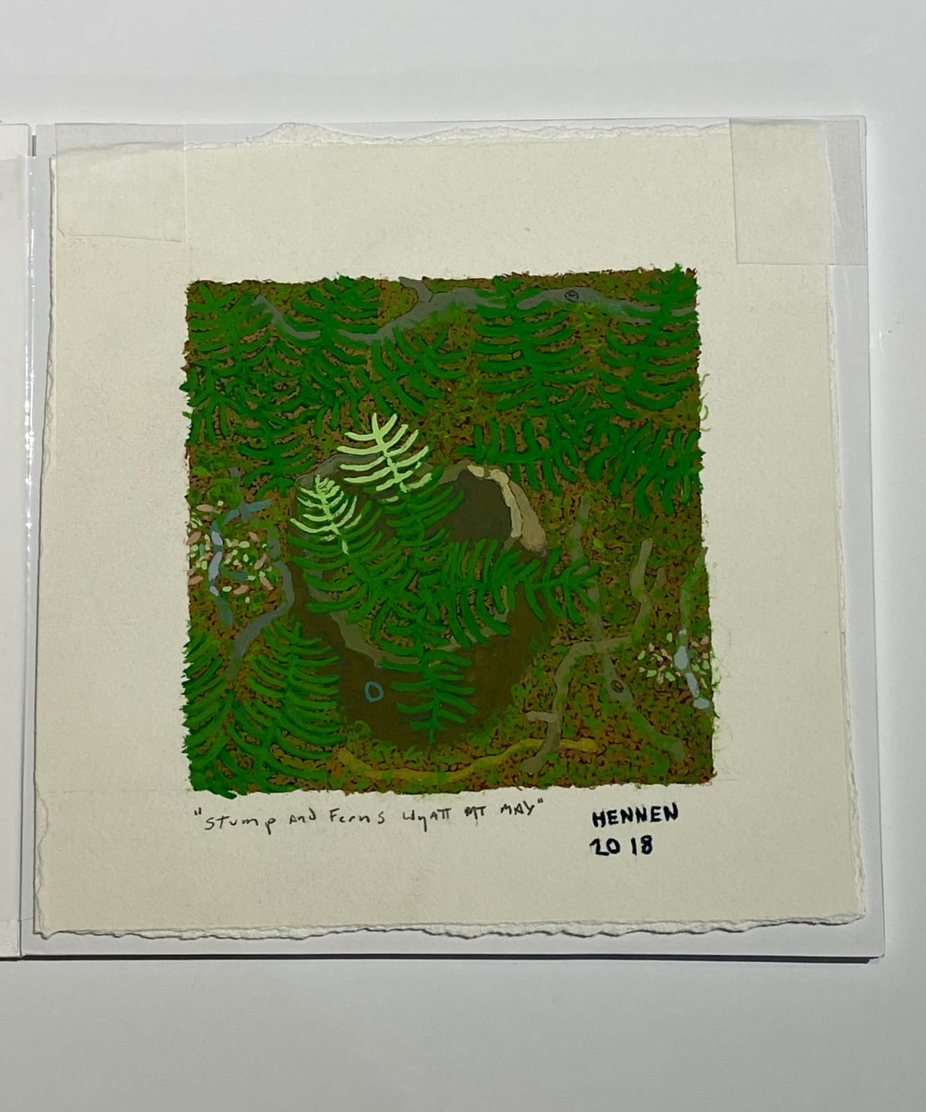 Gregory Hennen, Stump and Ferns, May, Wyatt Mt., 2018