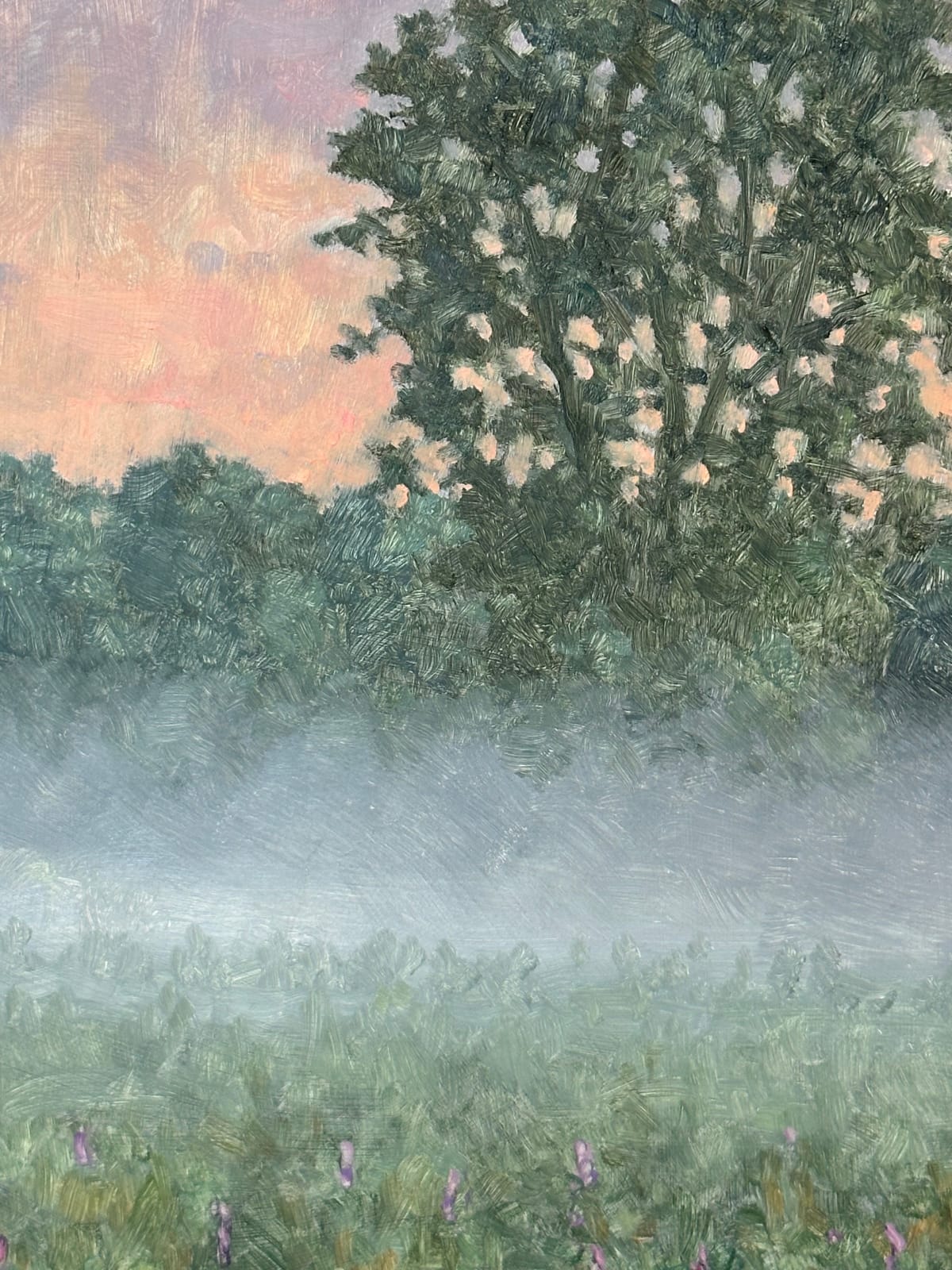 Thomas Sarrantonio, Field Painting August 2, 2024