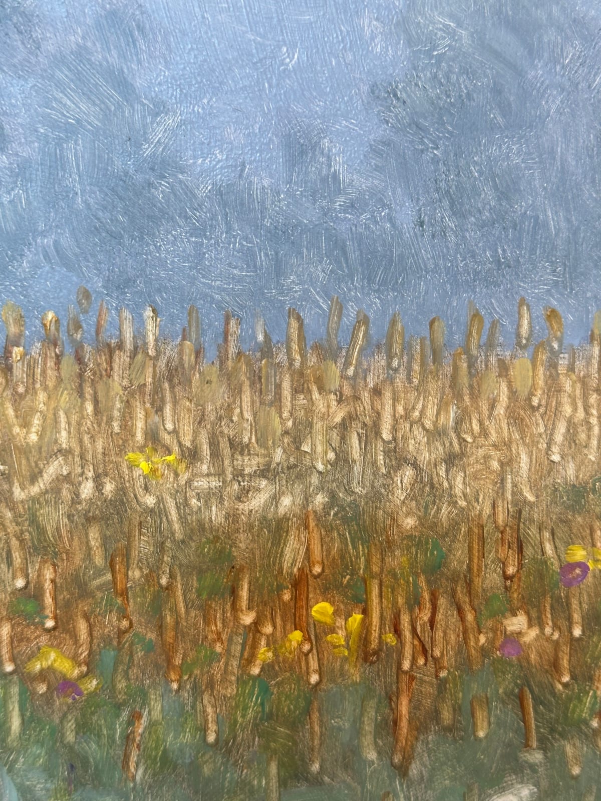 Thomas Sarrantonio, Field Painting September 6, 2023