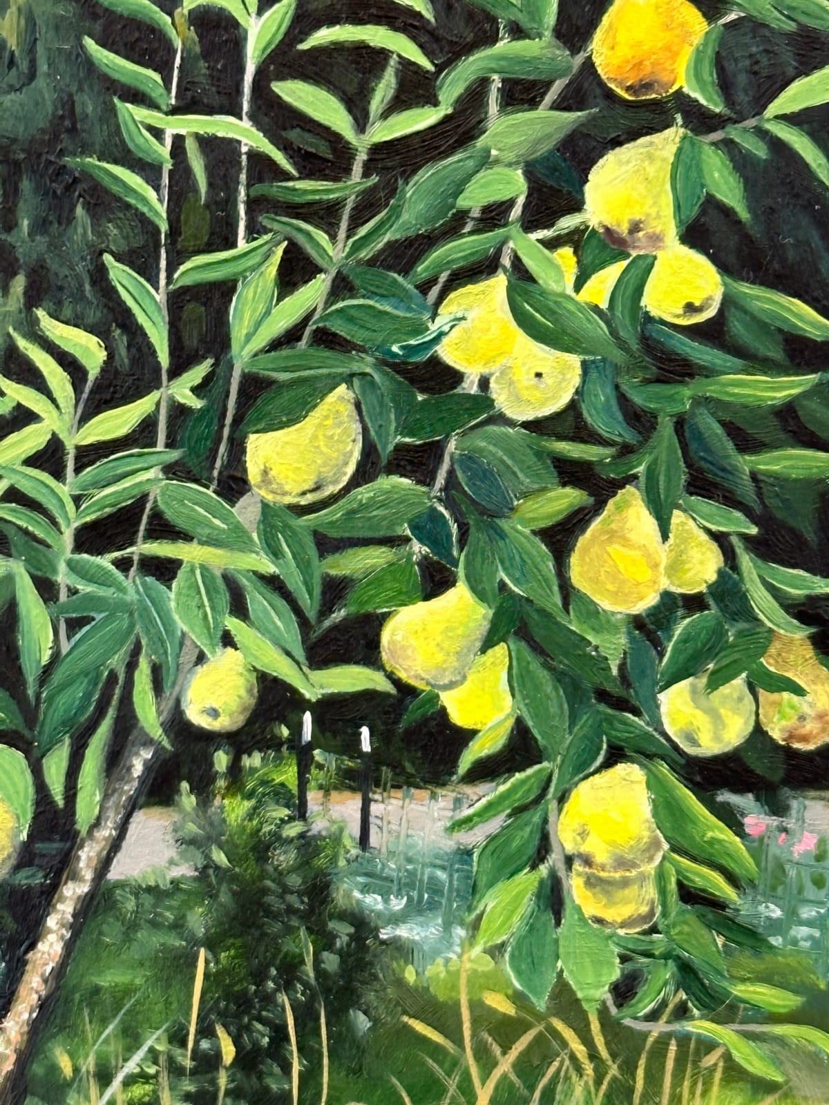 Amanda Acker, Backyard Pear, 2023