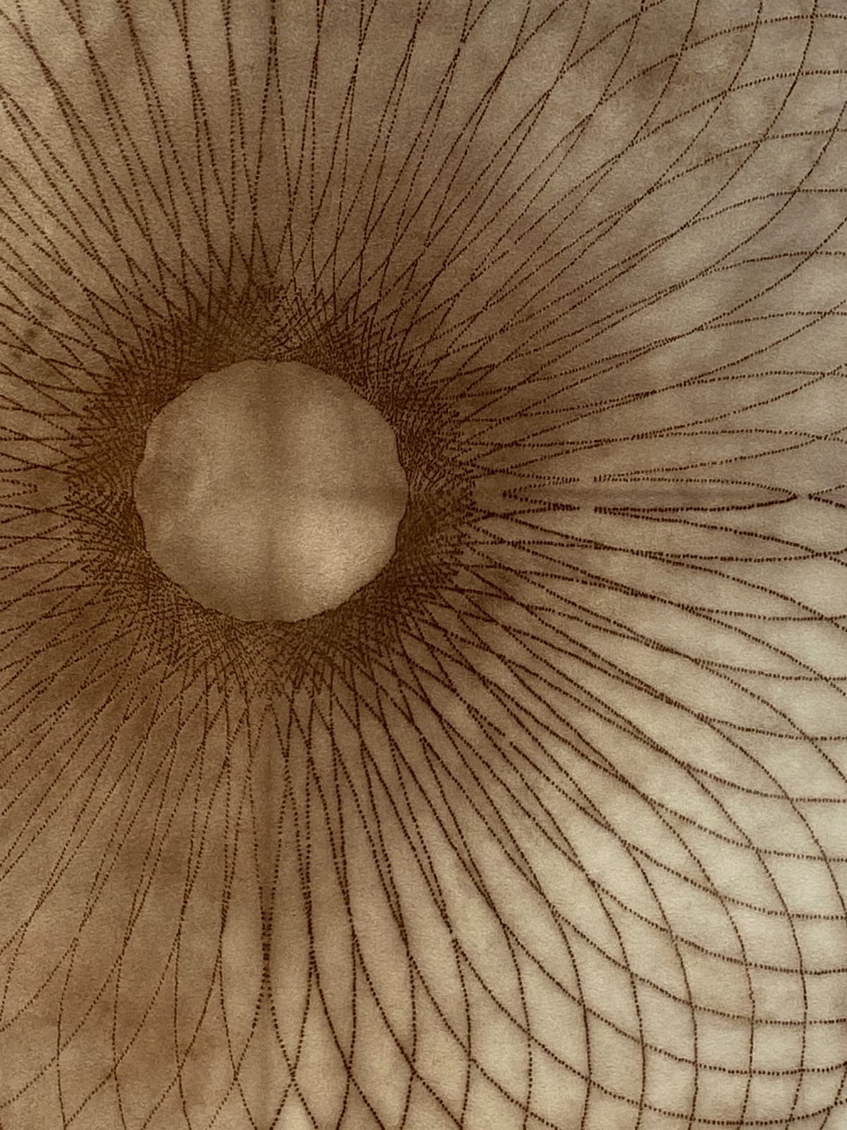 Mary Judge, Exotic Hex Series, 12/1, 2006