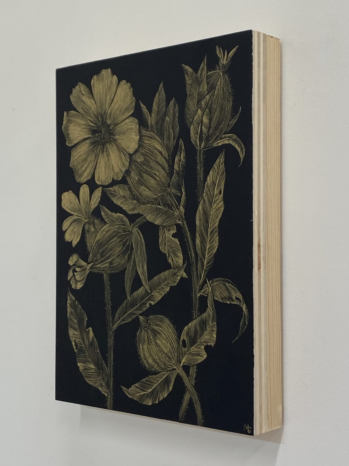 Margot Glass, White Campion, 2021