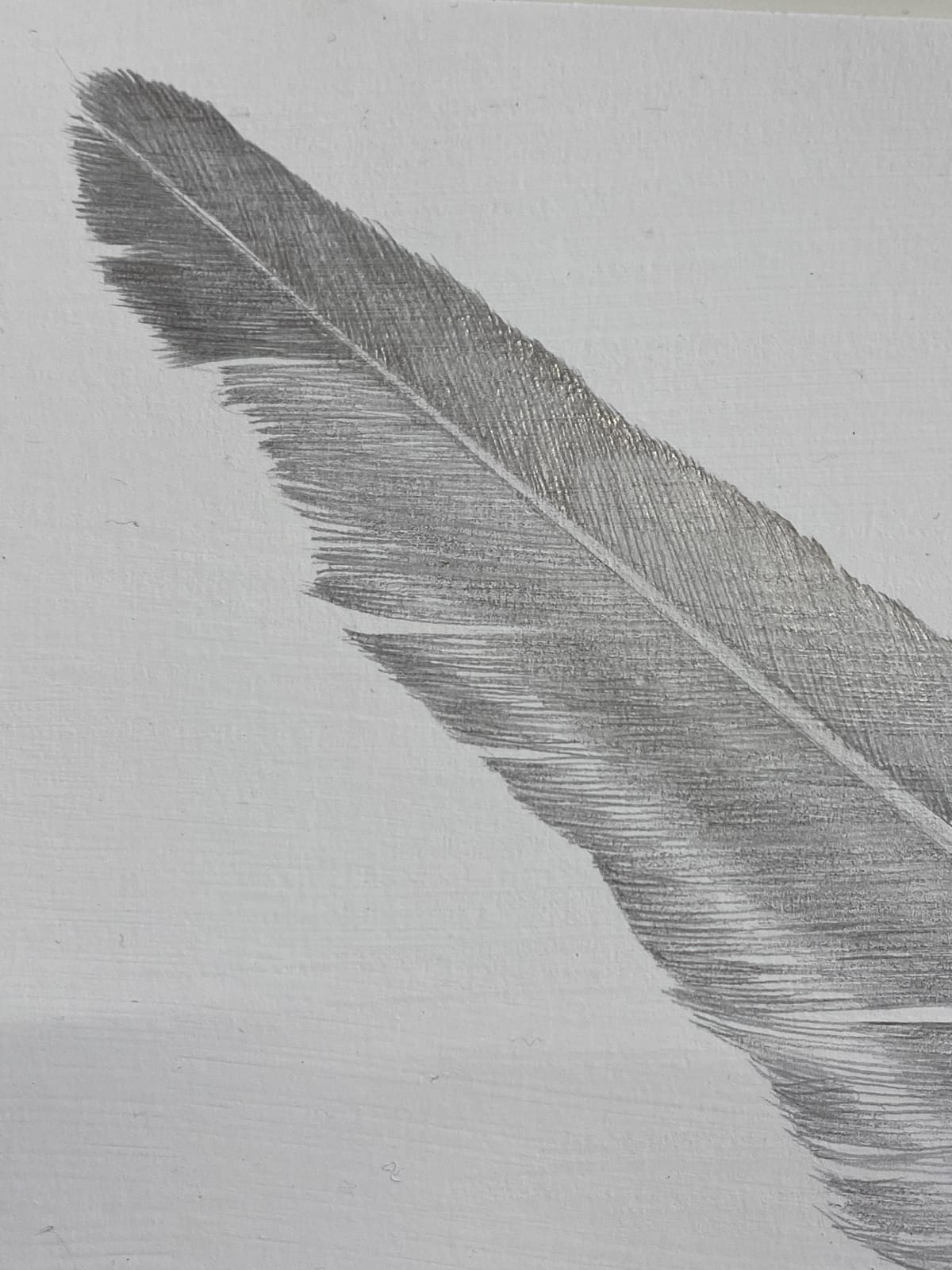 Margot Glass, Seagull Feather 1, 2020