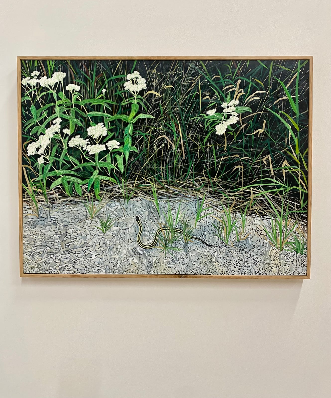 Amanda Acker, Slithering In, 2023