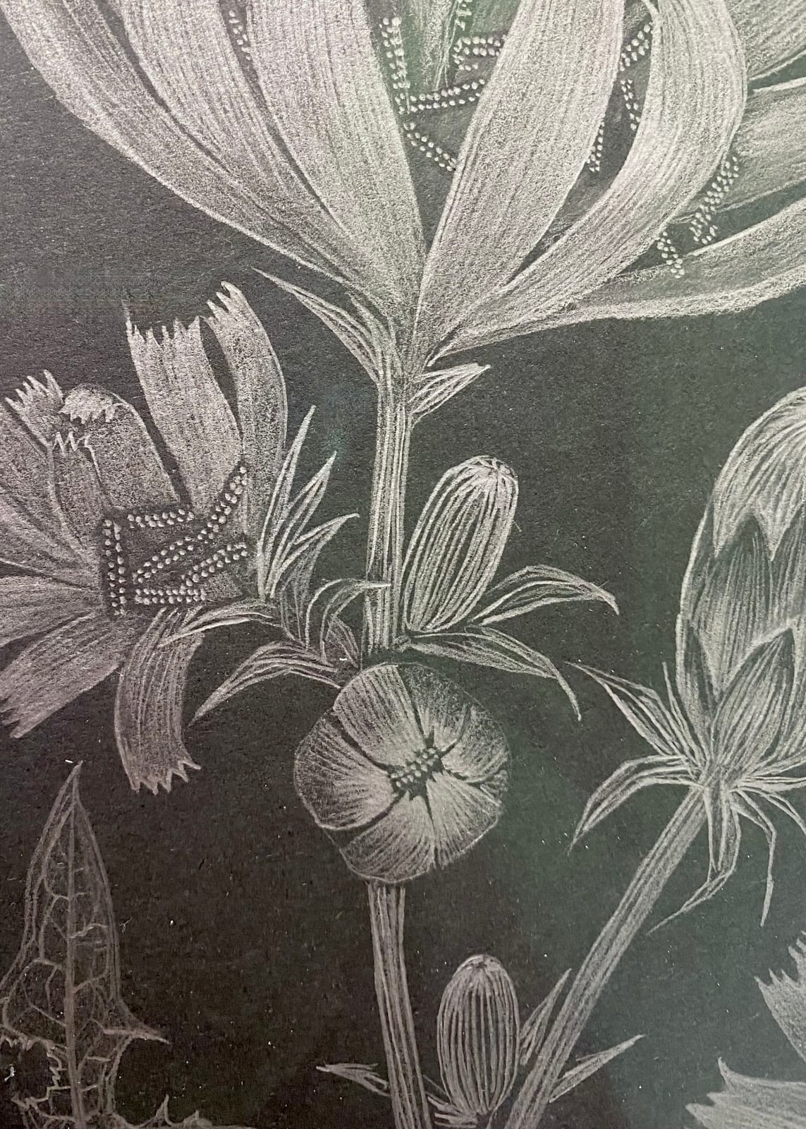Margot Glass, Chicory 2, 2022