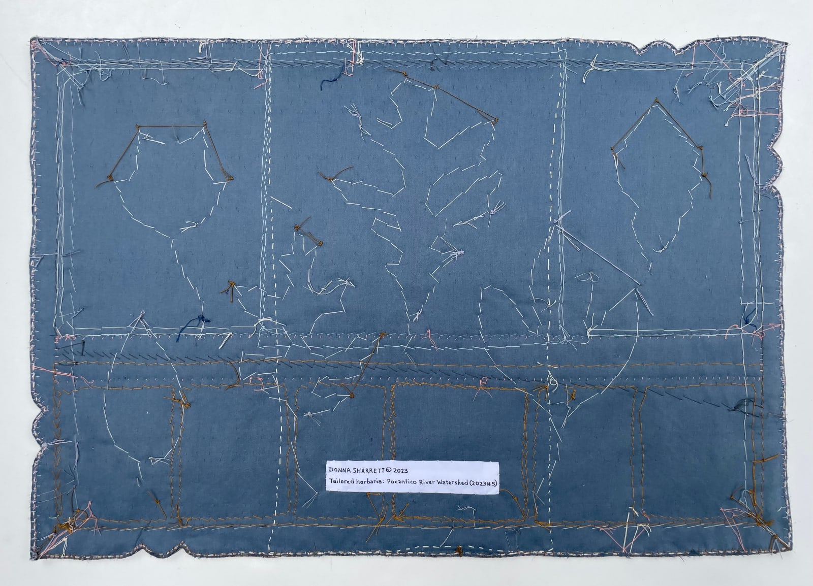 Donna Sharrett, Tailored Herbaria: Pocantico River Watershed (2023 #5), 2023