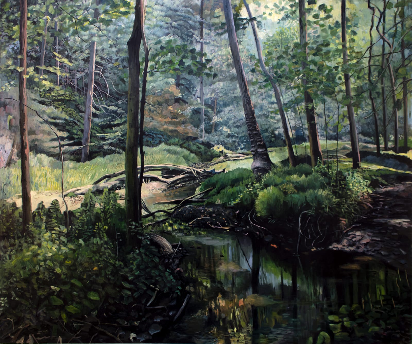 Amy Talluto, Black Creek, 2018