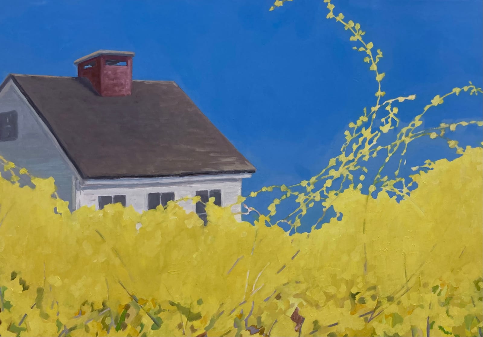 KK Kozik, Forsythia, 2022