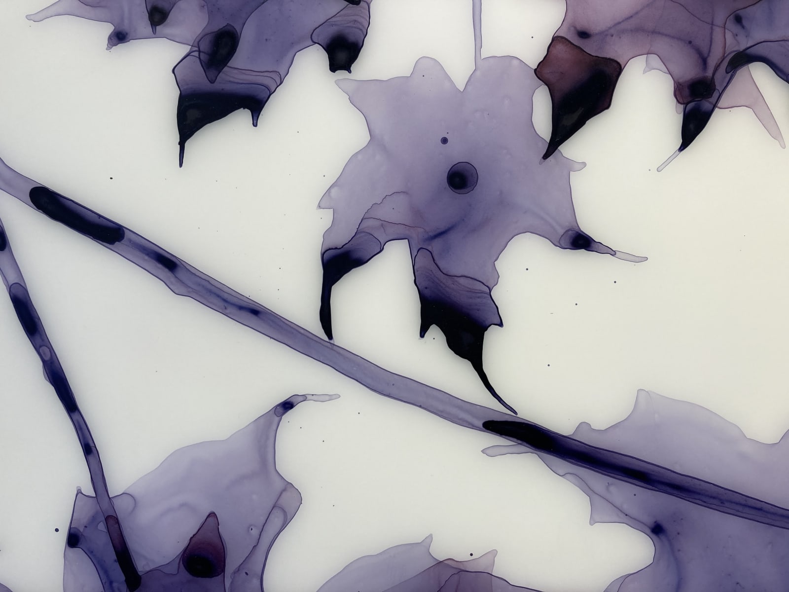 Jackie Battenfield, New Moon, 2011