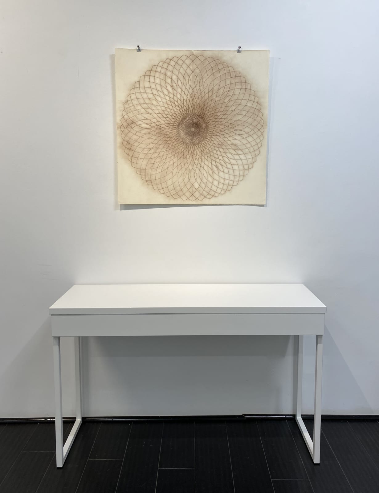 Mary Judge, Exotic Hex Series, 12/3, 2006
